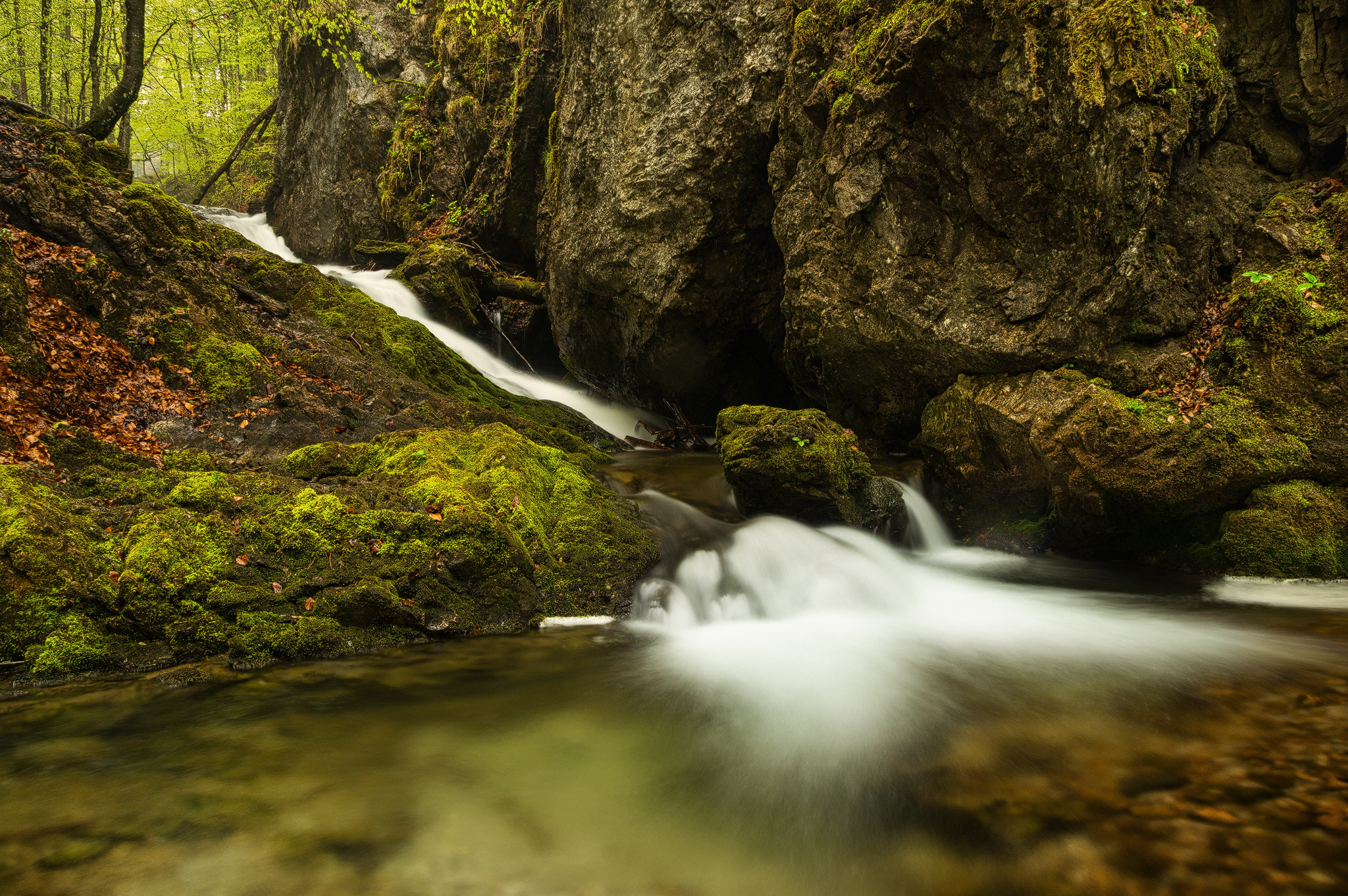 Sony SLT-A57 sample photo. Creek photography