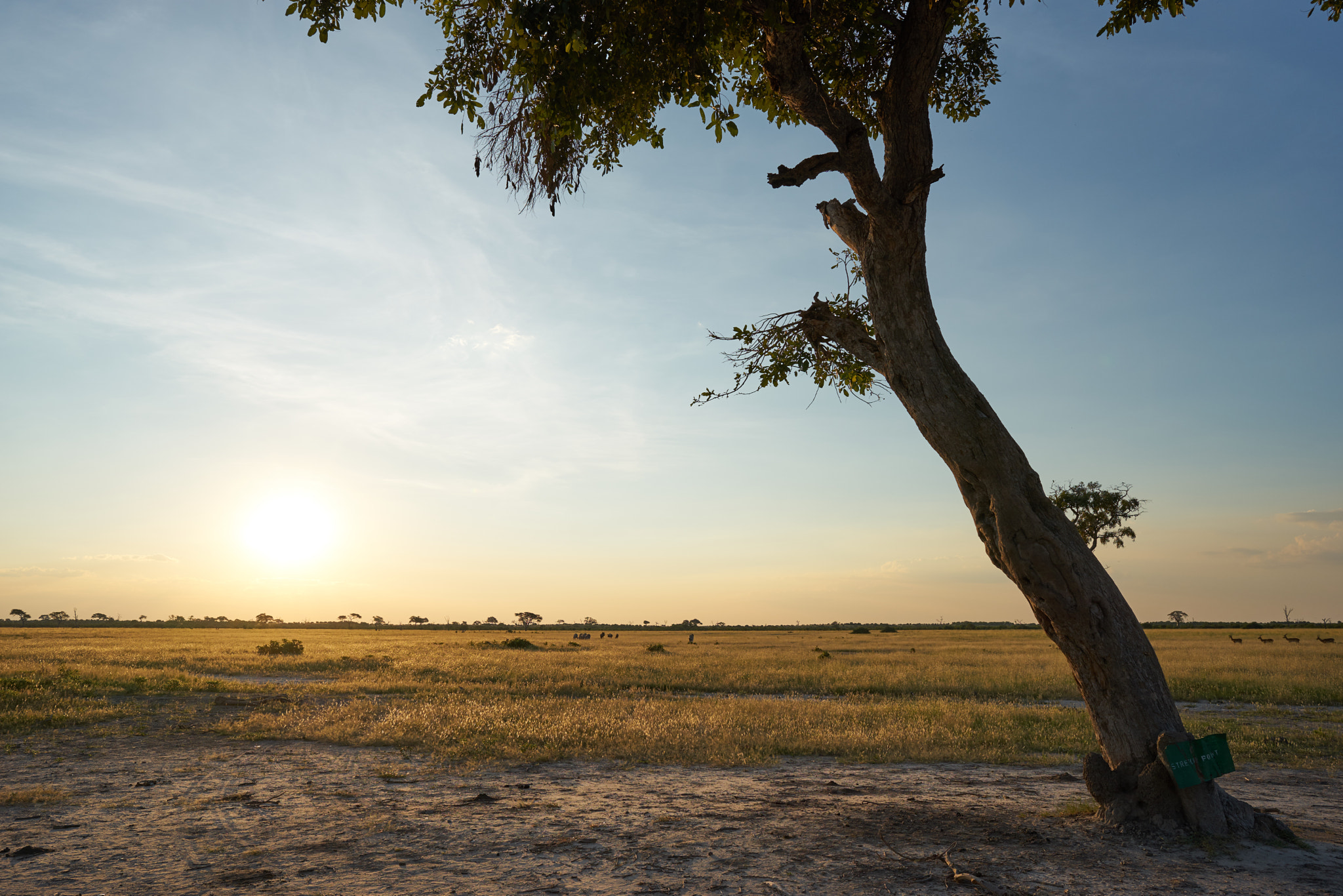 Sony a7 + ZEISS Batis 25mm F2 sample photo. Sunset in savute photography