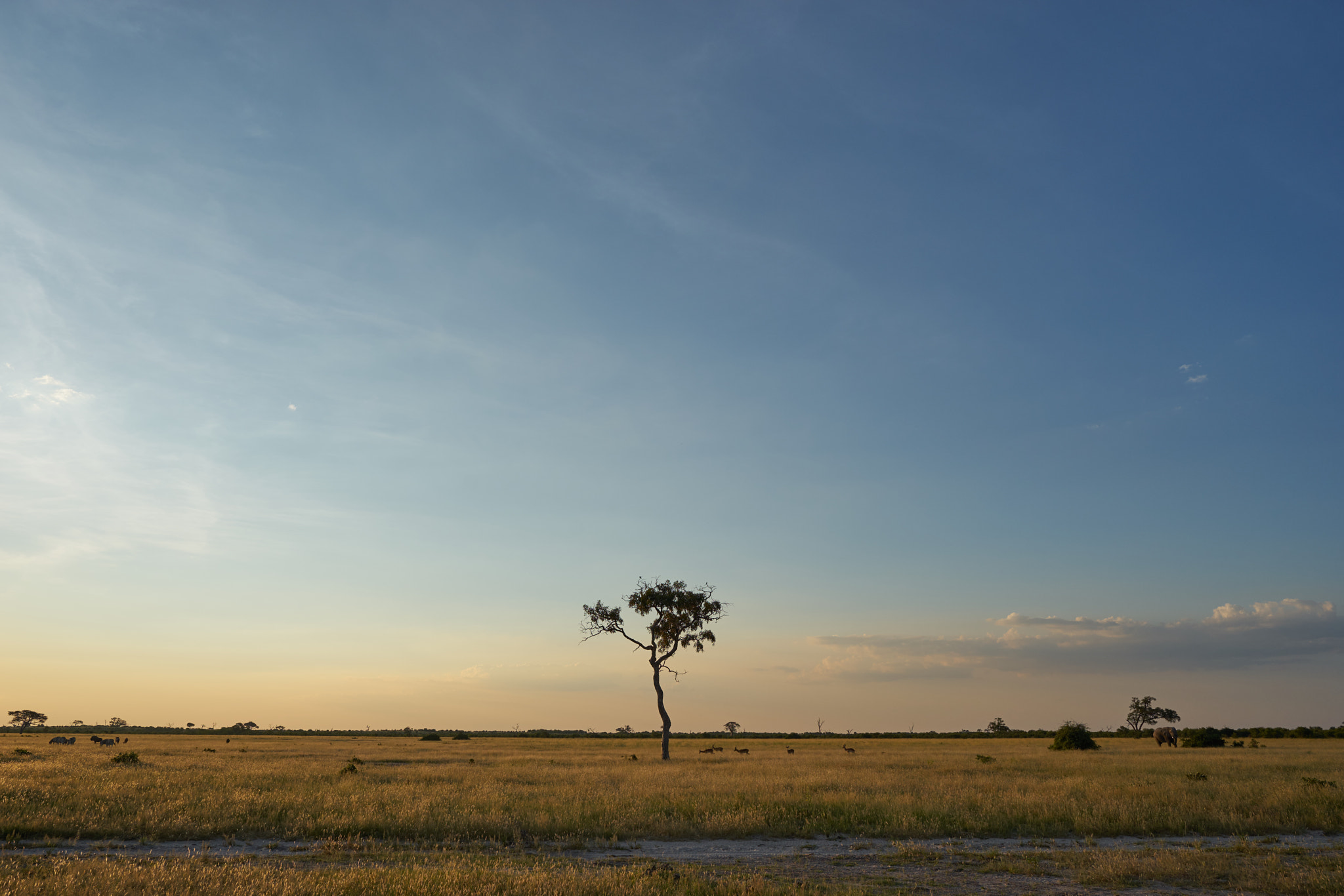 Sony a7 + ZEISS Batis 25mm F2 sample photo. Savute sunset photography