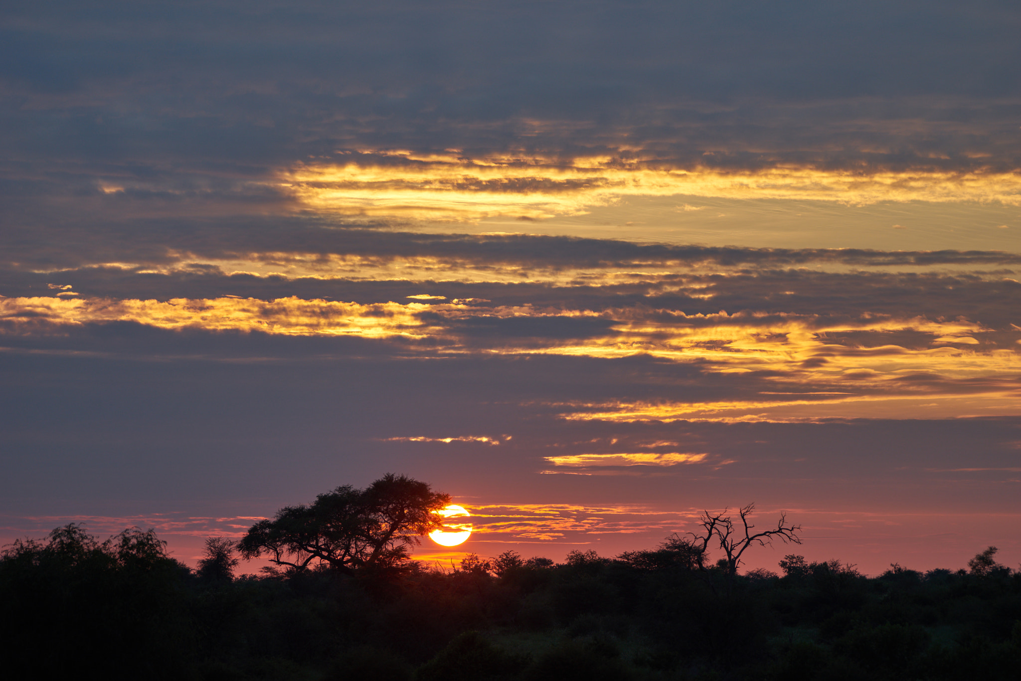 Sony a7 II + Sony 70-400mm F4-5.6 G SSM II sample photo. African sunset photography