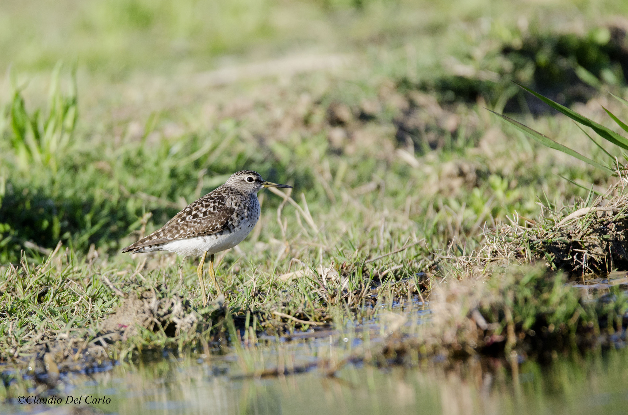 Sigma 150-600mm F5-6.3 DG OS HSM | S sample photo. 270416_0201.jpg photography