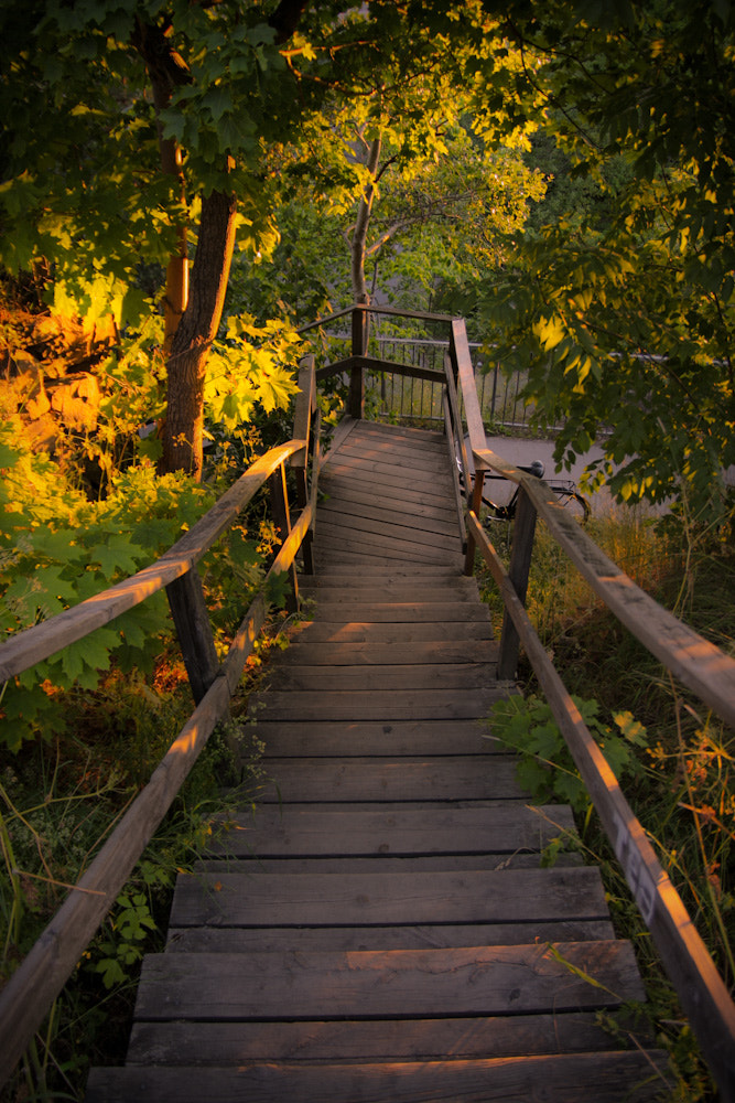 Canon EOS 40D + Sigma 18-50mm f/2.8 Macro sample photo. Stairs photography