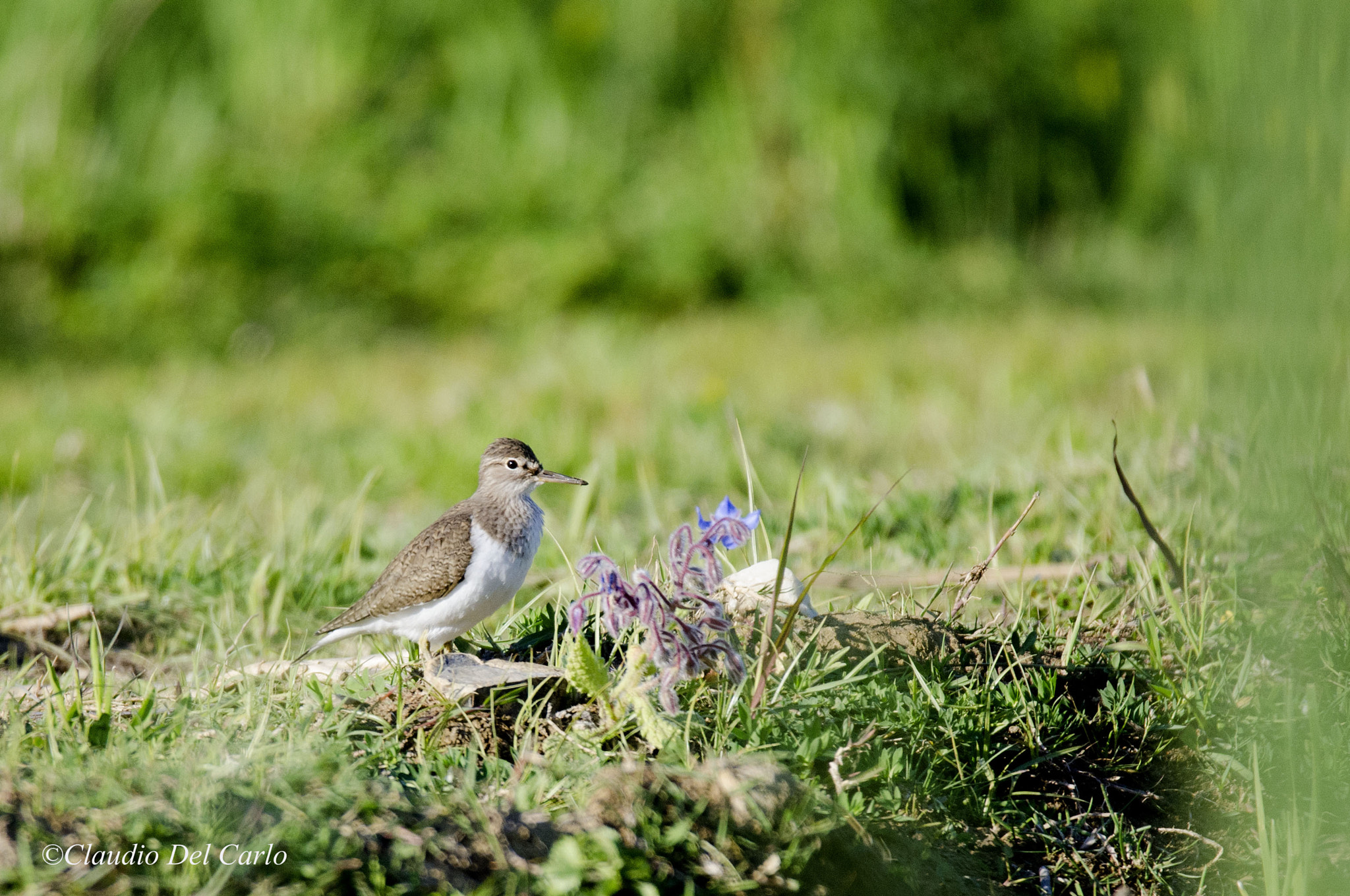 Sigma 150-600mm F5-6.3 DG OS HSM | S sample photo. 270416_0205.jpg photography