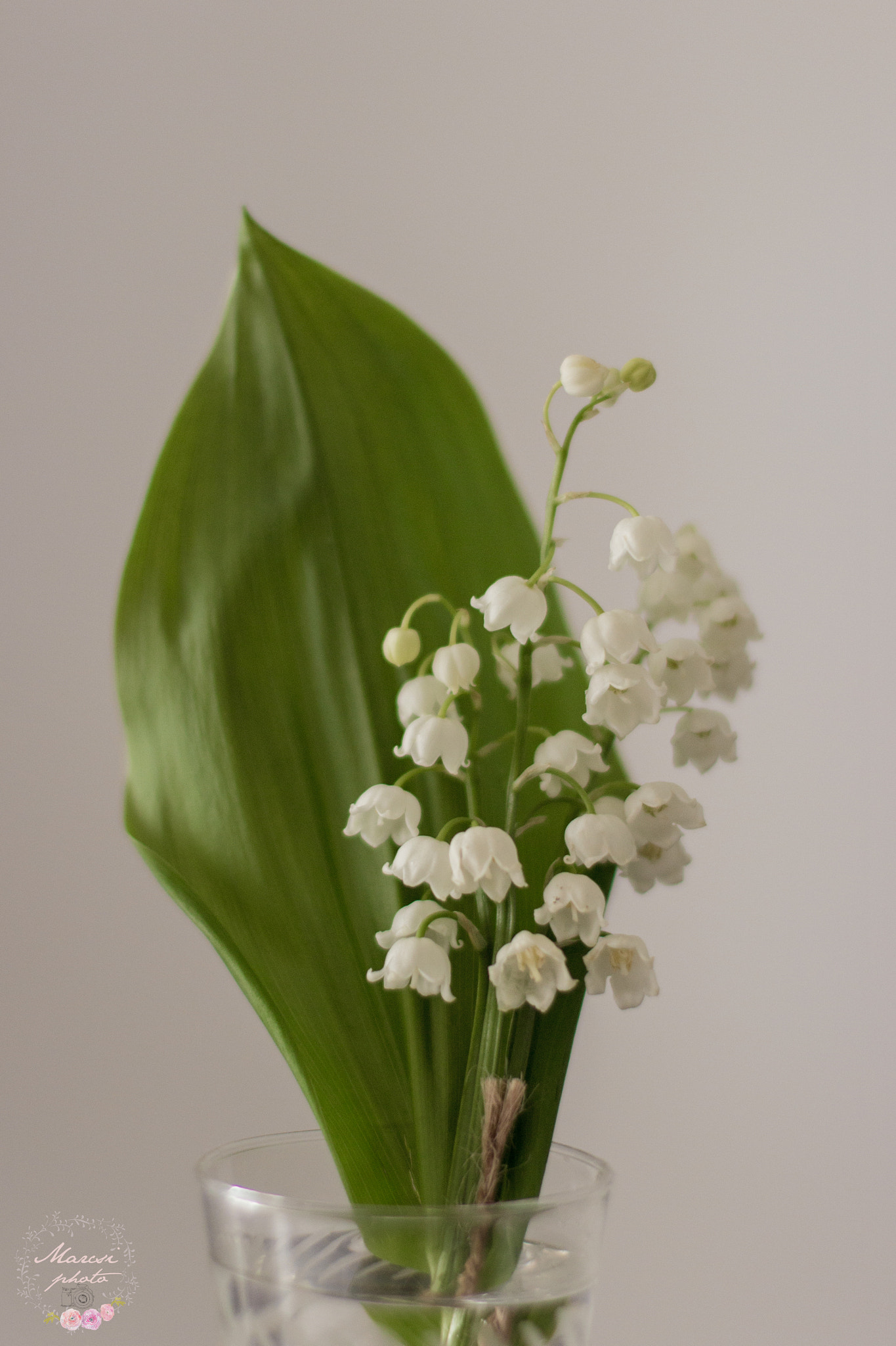 Canon EOS 600D (Rebel EOS T3i / EOS Kiss X5) + Canon EF 50mm F1.4 USM sample photo. Lily of valley photography