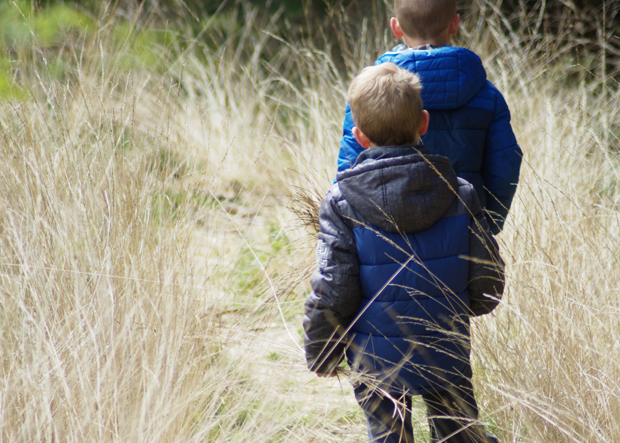 Tamron AF 70-300mm F4-5.6 Di LD Macro sample photo. Brothers on a stroll photography