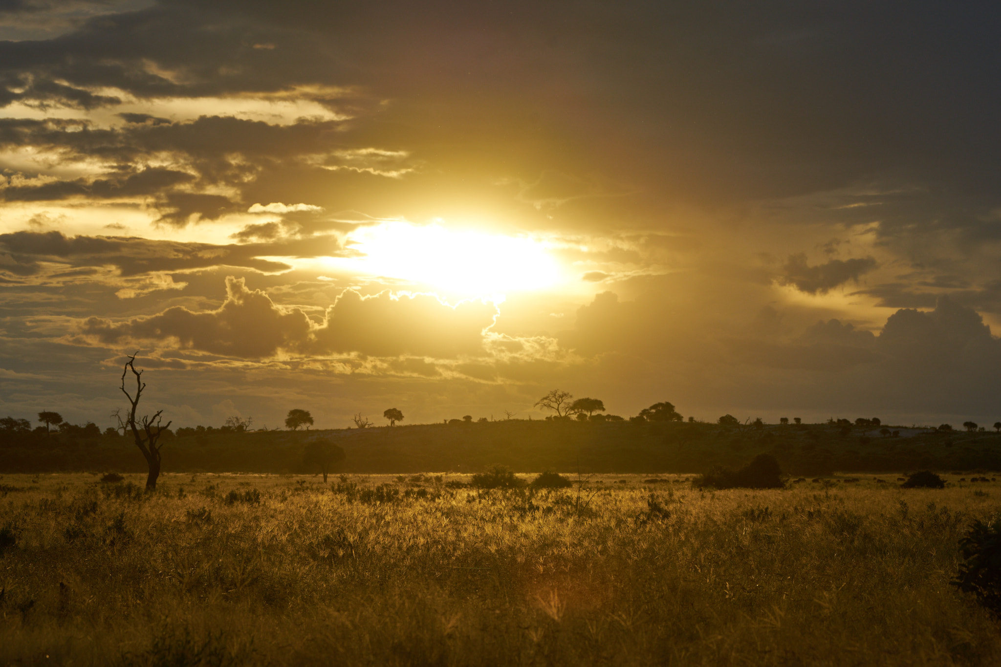 Sony a7 II + Sony 70-400mm F4-5.6 G SSM II sample photo. African sunset photography