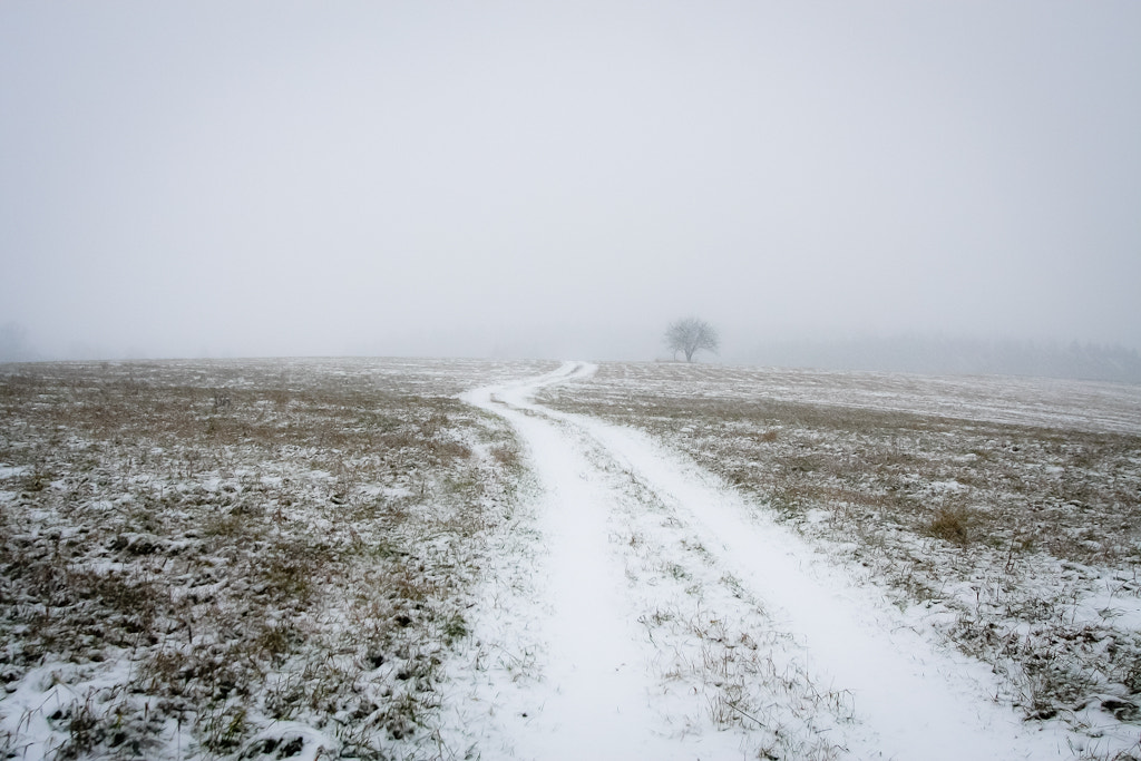 Canon EOS 40D + Sigma 20mm EX f/1.8 sample photo. Field road photography