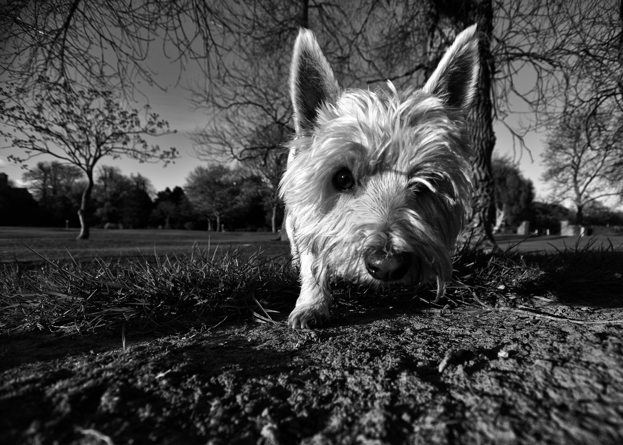 Sigma 10-20mm F4-5.6 EX DC HSM sample photo. In your face photography