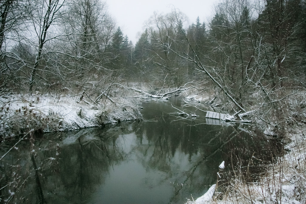 Canon EOS 40D + Sigma 20mm EX f/1.8 sample photo. Восточное Подмосковье photography