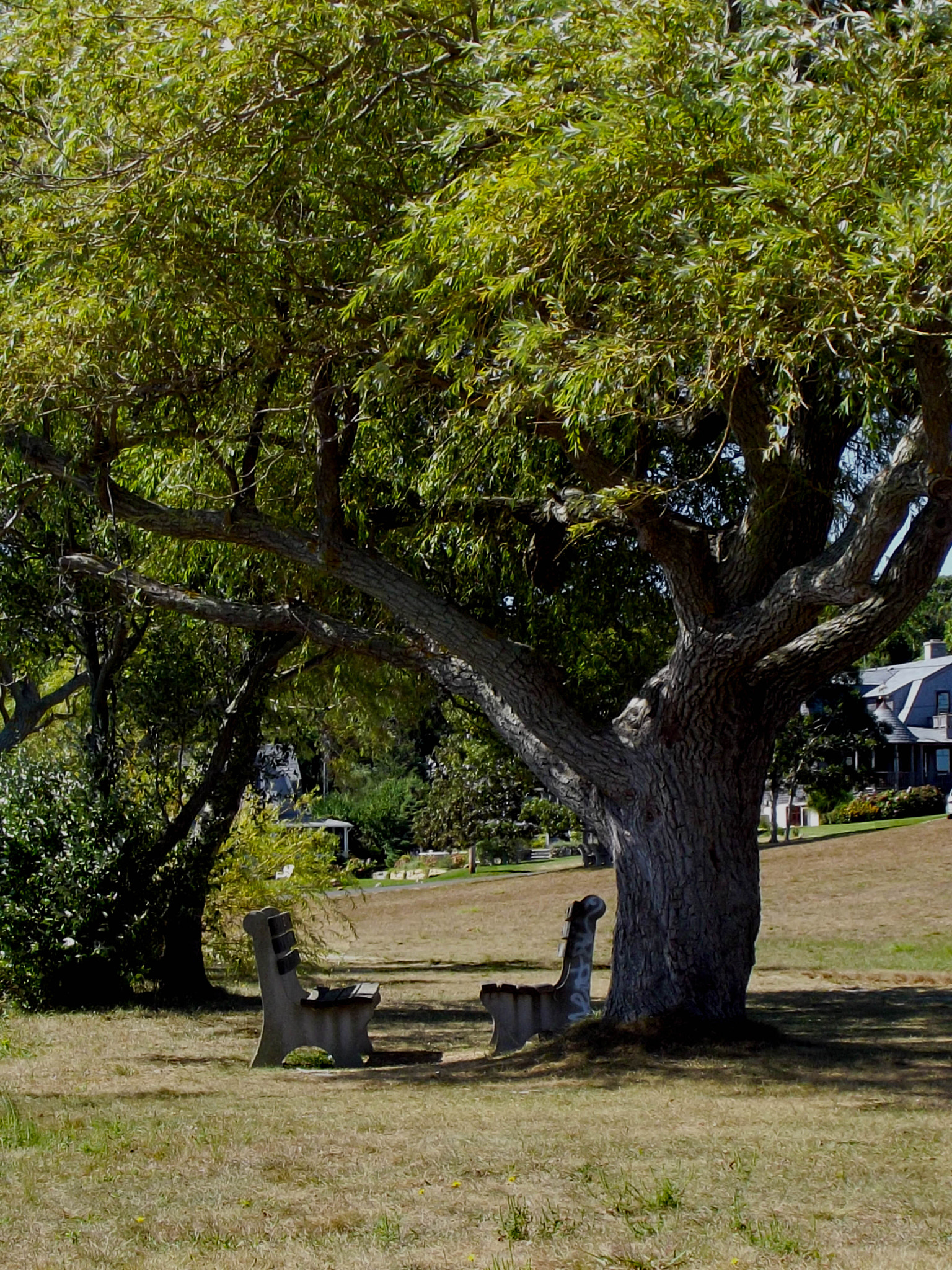 Fujifilm FinePix S2970 sample photo. Mv benches closeup photography