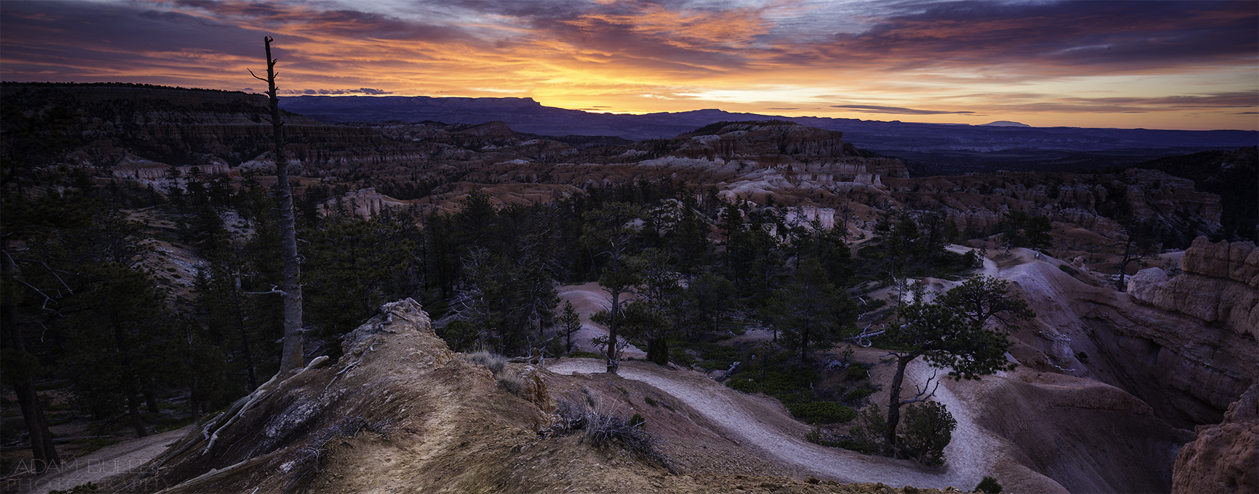 Canon TS-E 24.0mm f/3.5 L II sample photo. Bryce canyon photography