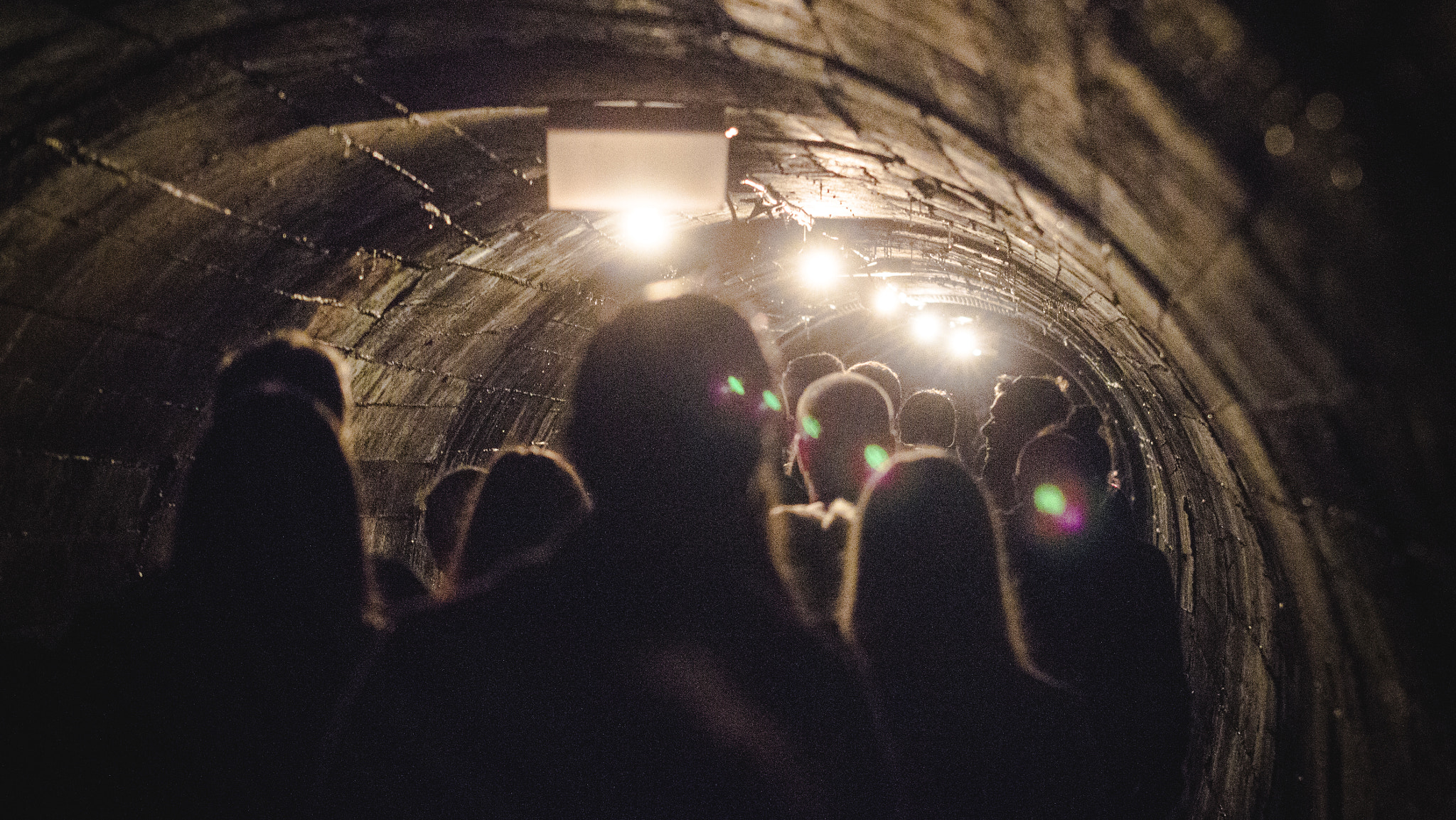 Sigma 70-200mm F2.8 EX DG OS HSM sample photo. Tunnel migration photography
