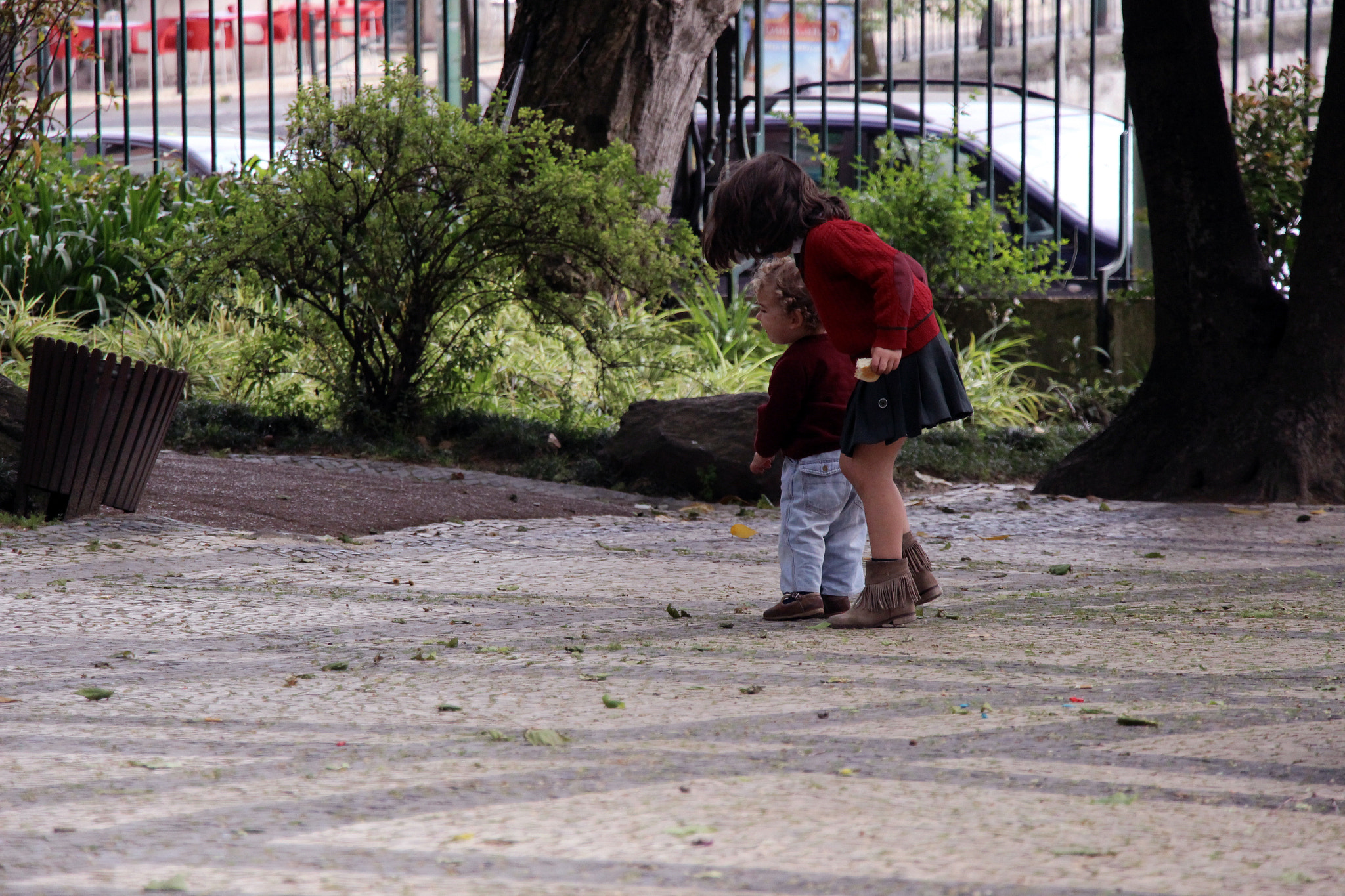 Canon EF-S 18-135mm F3.5-5.6 IS STM sample photo. Jardim da estrela photography