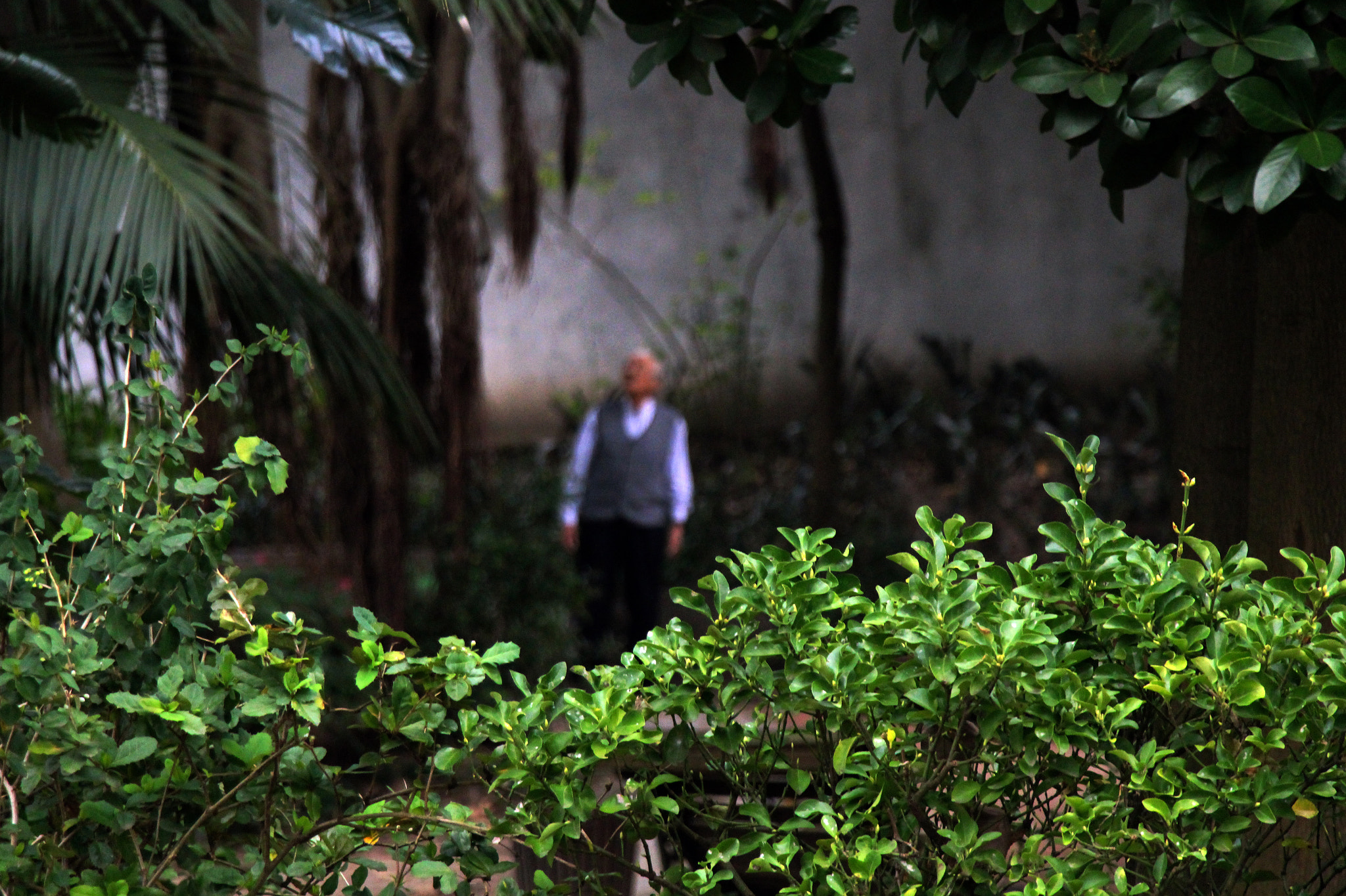 Canon EF-S 18-135mm F3.5-5.6 IS STM sample photo. Jardim da estrela photography