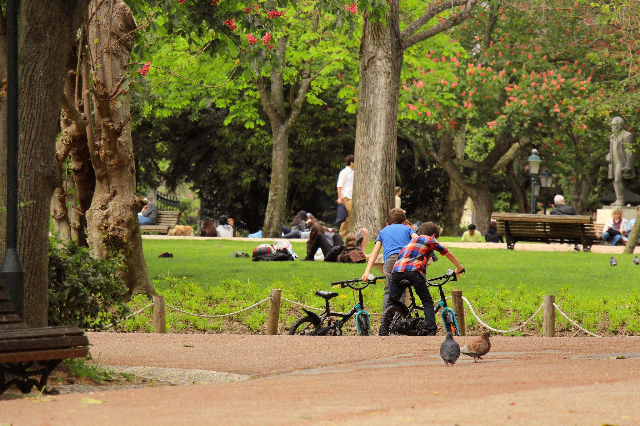 Canon EF-S 18-135mm F3.5-5.6 IS STM sample photo. Jardim da estrela photography