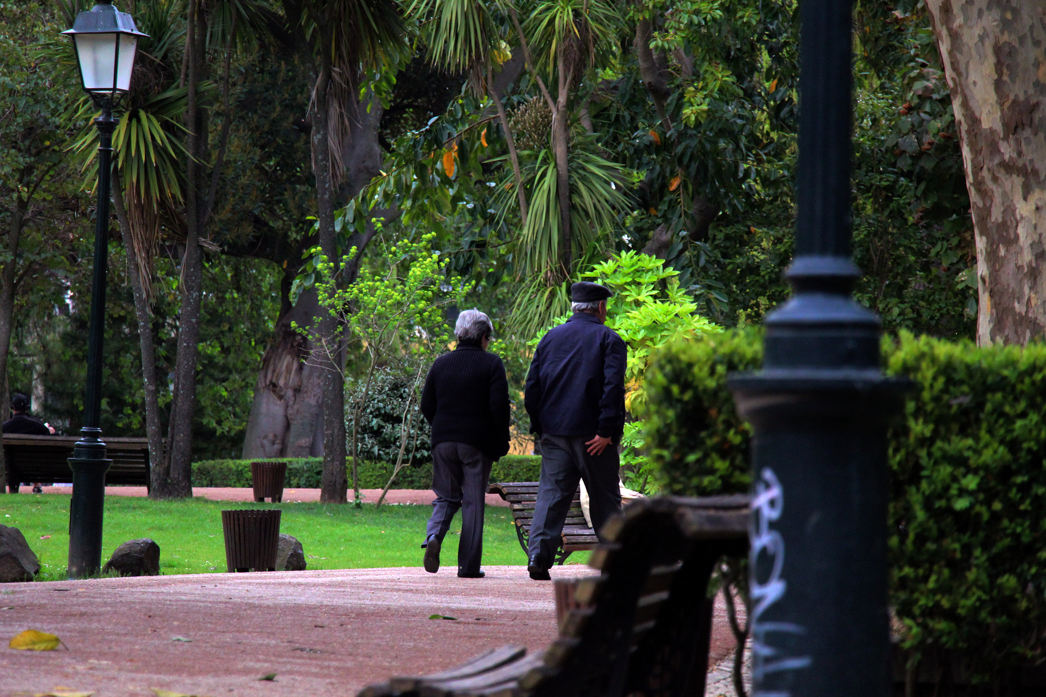 Canon EF-S 18-135mm F3.5-5.6 IS STM sample photo. Jardim da estrela photography