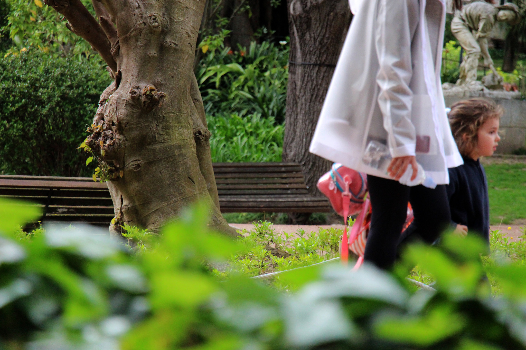 Canon EF-S 18-135mm F3.5-5.6 IS STM sample photo. Jardim da estrela photography