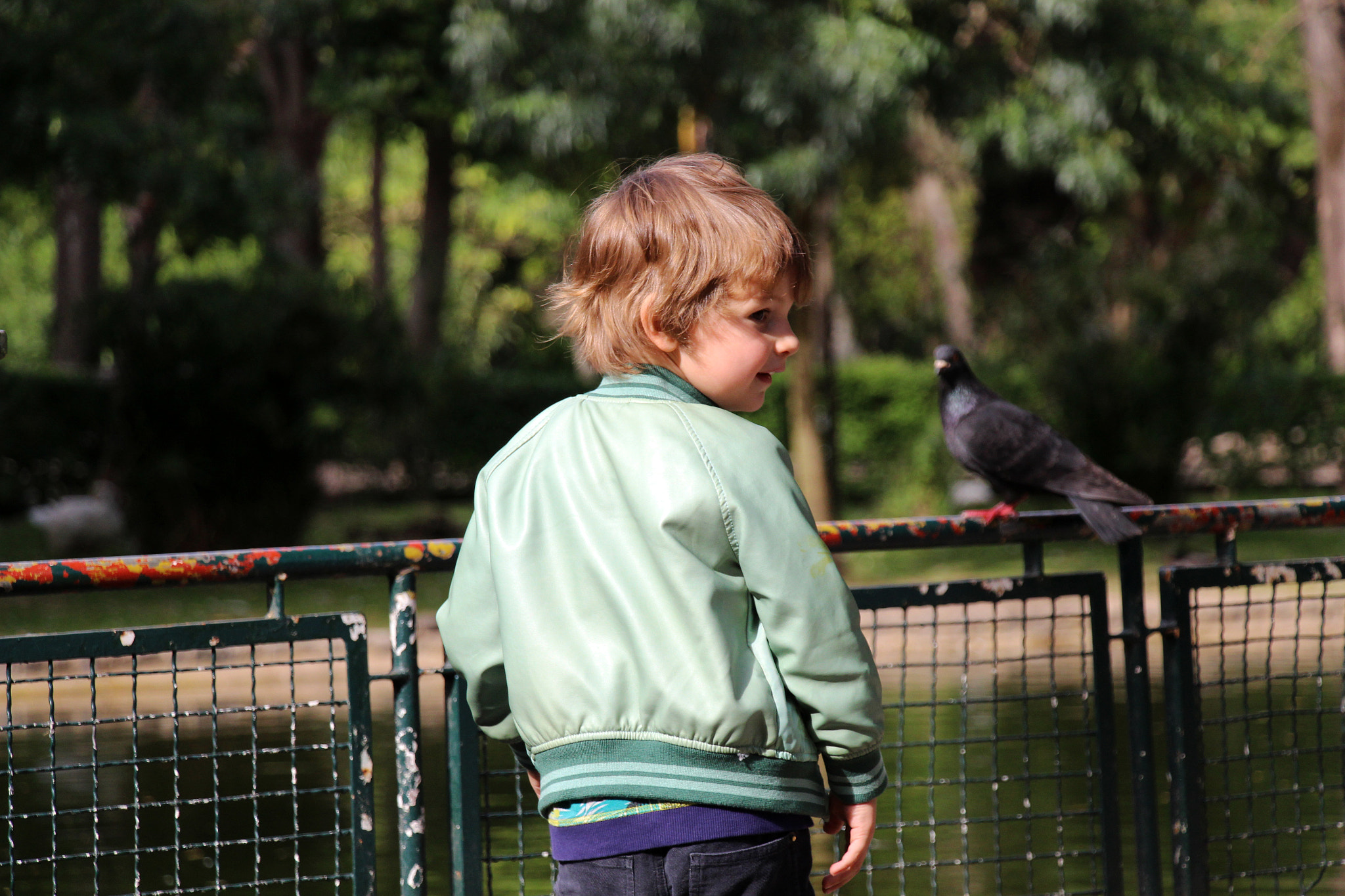 Canon EF-S 18-135mm F3.5-5.6 IS STM sample photo. Jardim da estrela photography