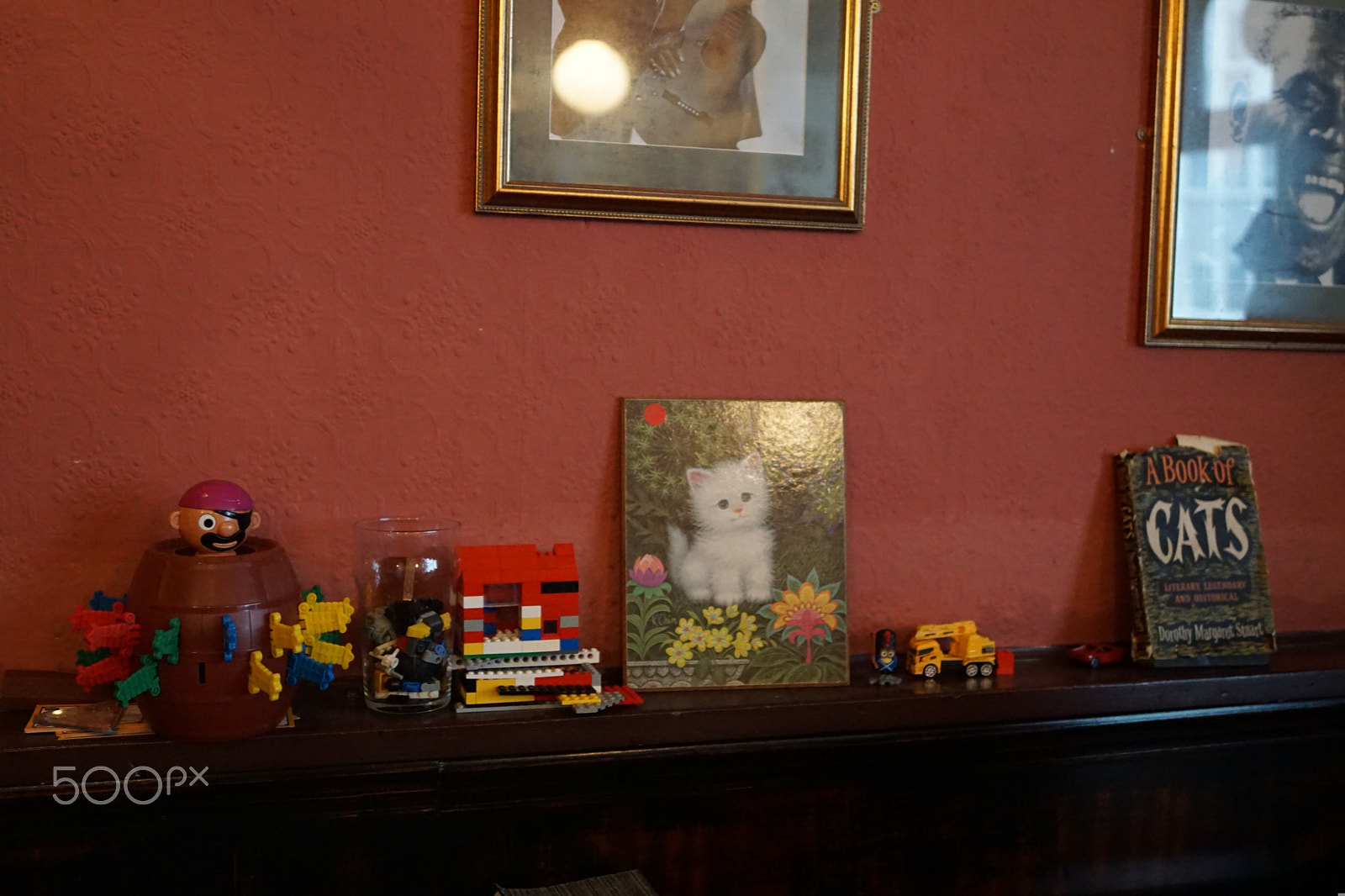 Sony ILCA-77M2 sample photo. Cat pub in bristol photography
