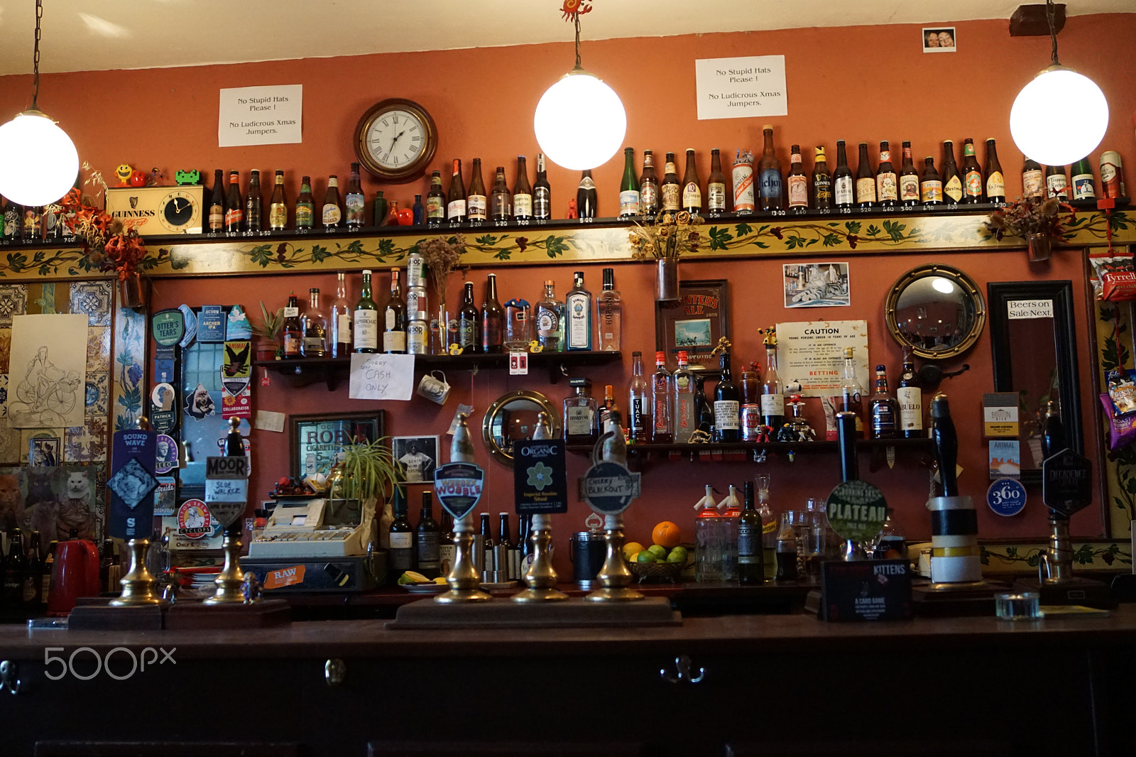 Sony ILCA-77M2 sample photo. Cat pub in bristol photography