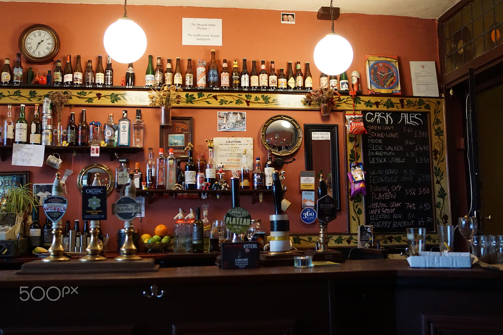 Sony ILCA-77M2 sample photo. Cat pub in bristol photography