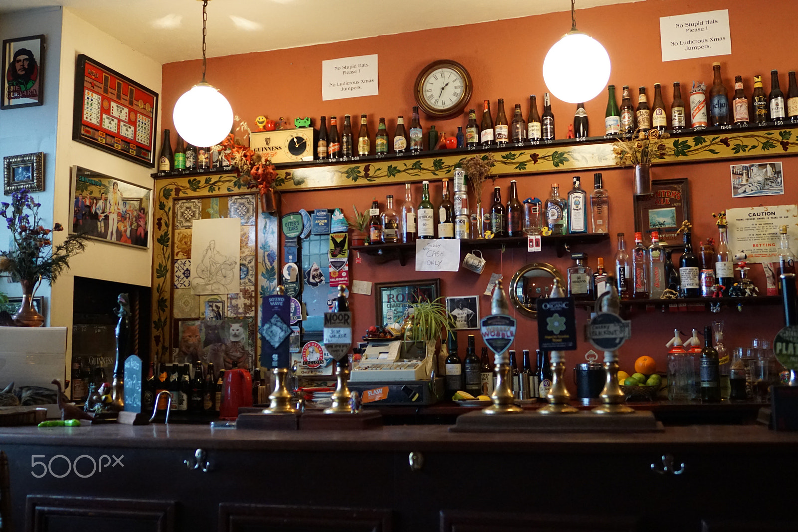 Sony ILCA-77M2 sample photo. Cat pub in bristol photography