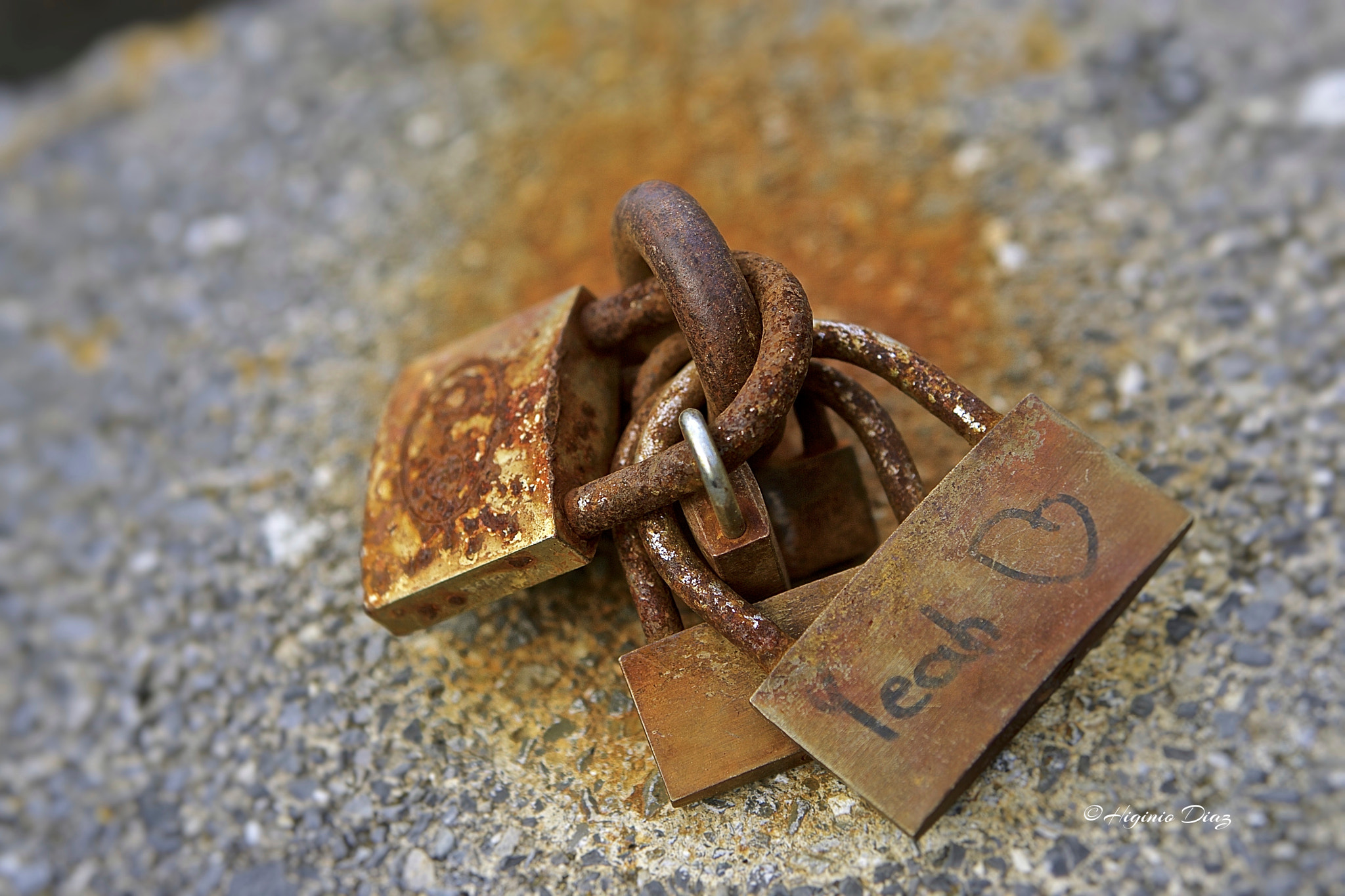 Canon EOS-1D Mark II sample photo. Donosti photography