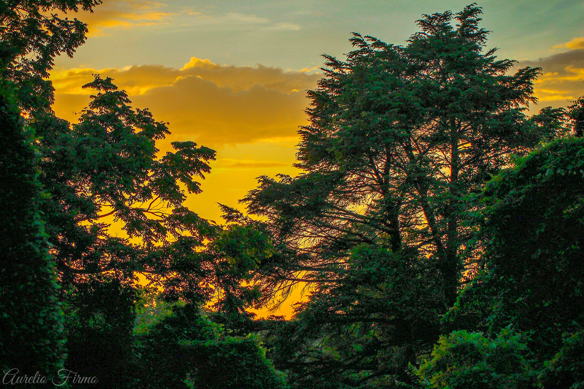 Canon EF 100mm F2.8L Macro IS USM sample photo. Sunset in long island   newyork photography