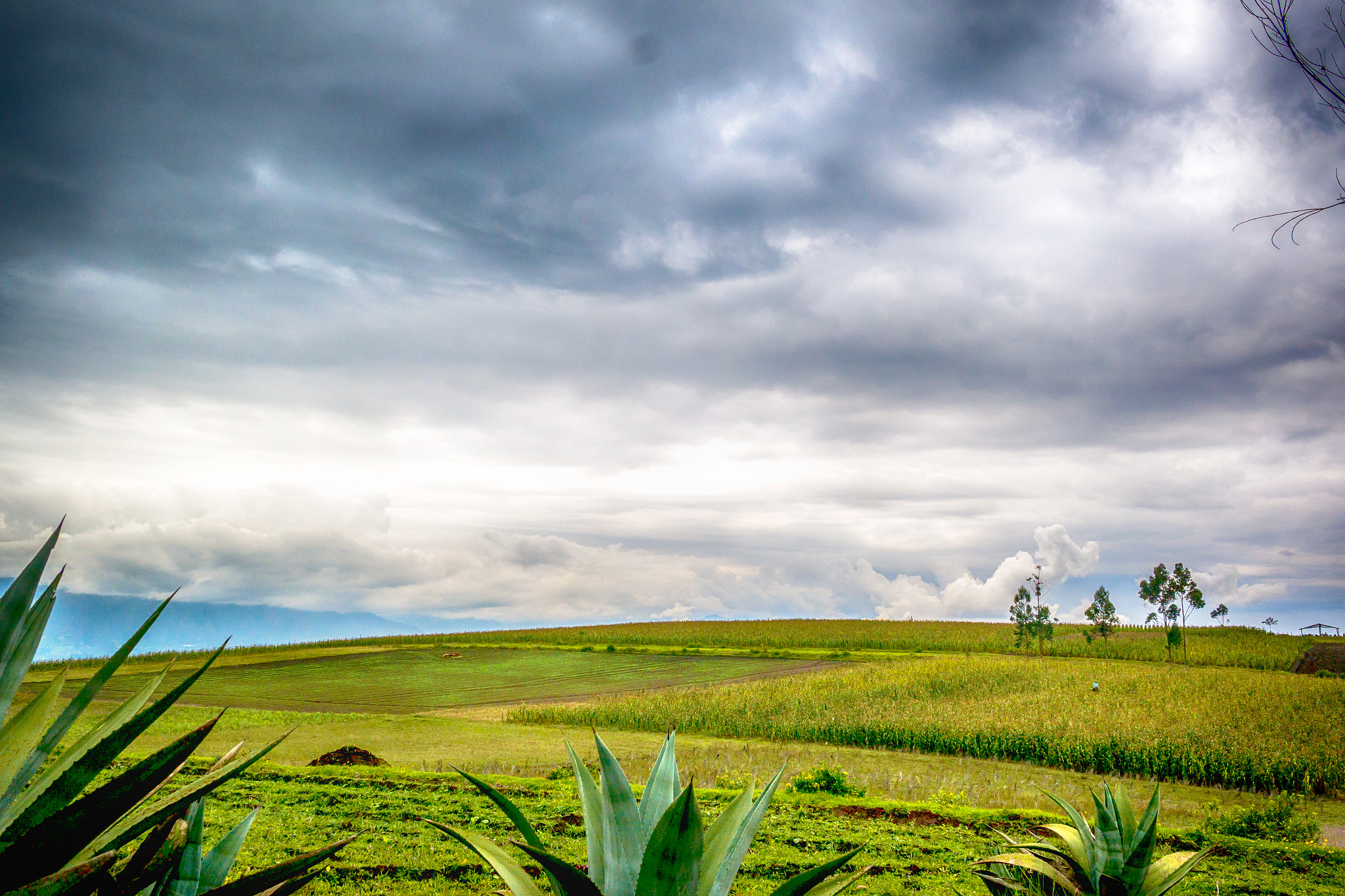 Samsung NX300 + Samsung NX 20-50mm F3.5-5.6 ED sample photo. Landscape photography