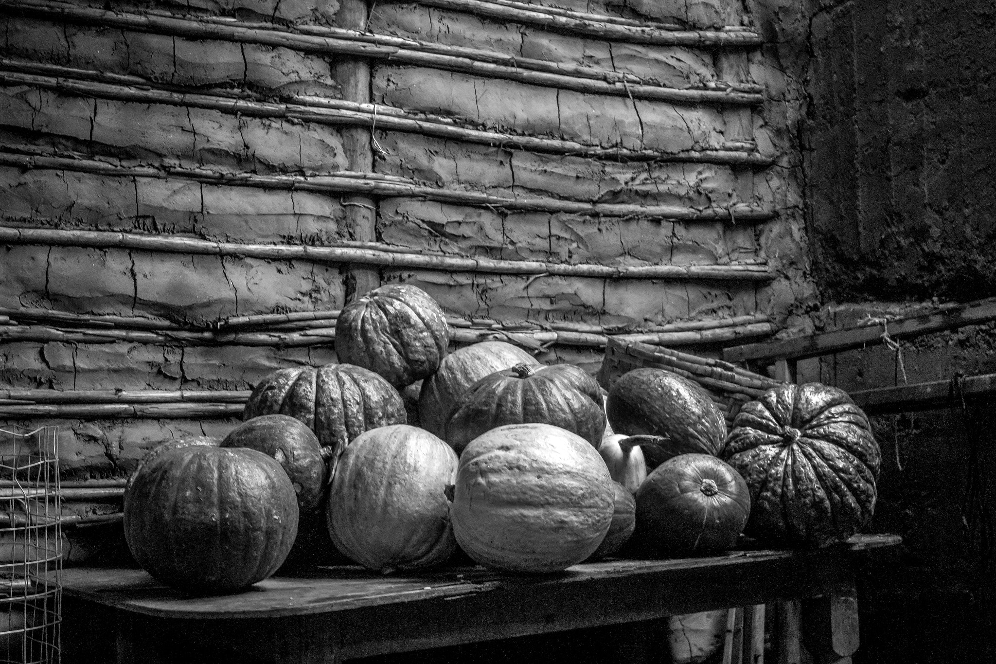 Samsung NX300 + Samsung NX 20-50mm F3.5-5.6 ED sample photo. Nature b&w photography