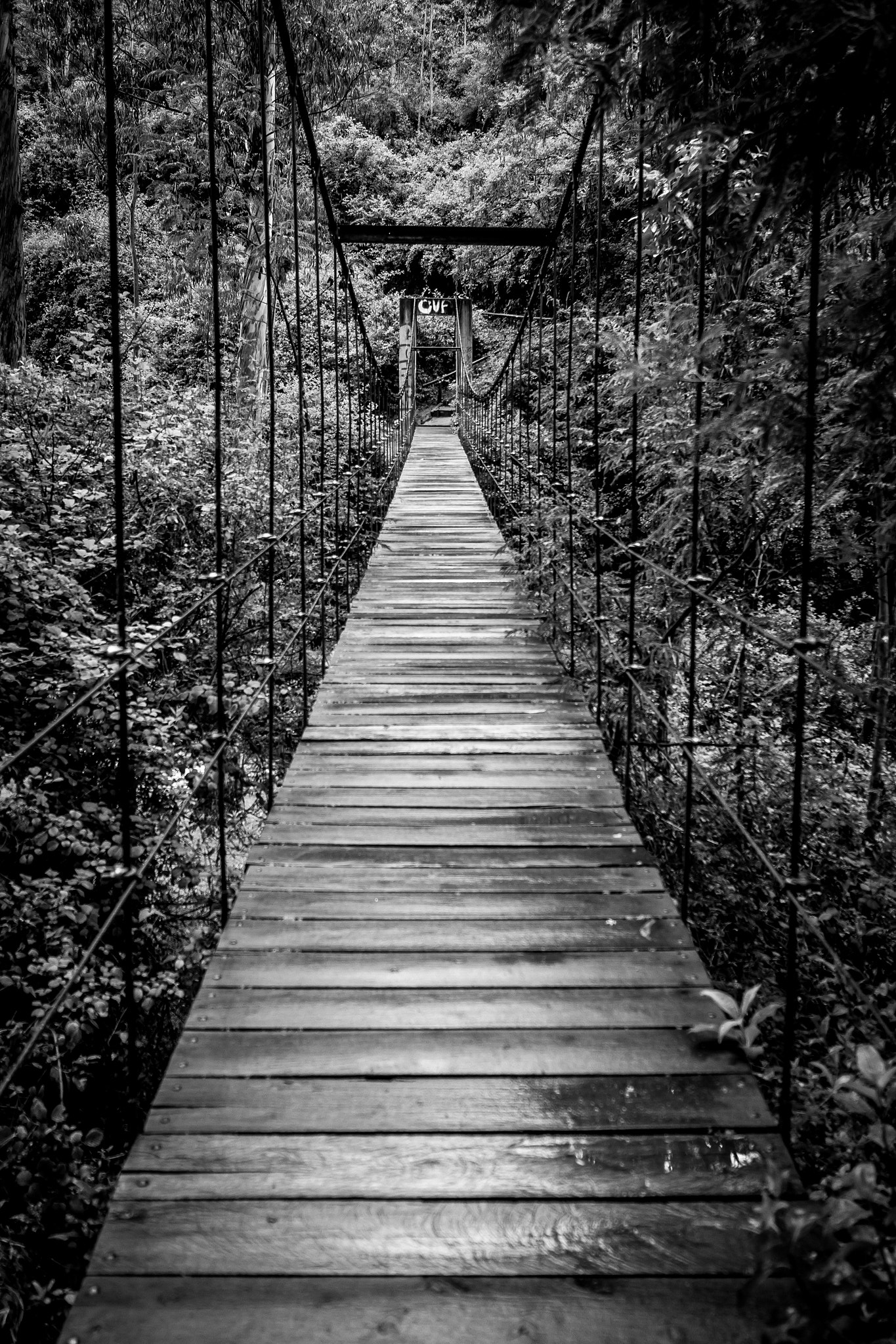 Samsung NX300 + Samsung NX 20-50mm F3.5-5.6 ED sample photo. Bridge photography