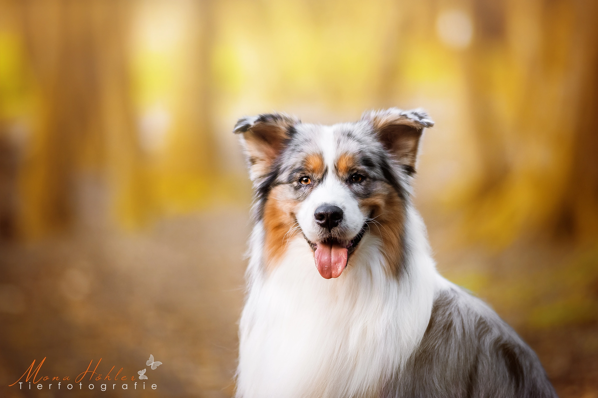 Nikon D3 + Nikon AF Nikkor 180mm F2.8D ED-IF sample photo. Be happy photography