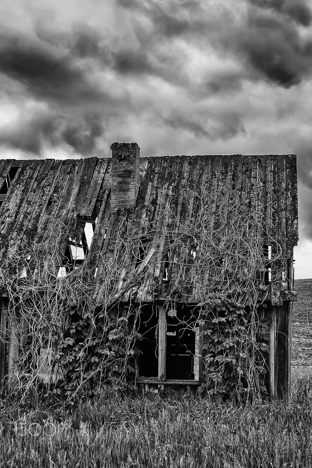 Canon EOS-1D Mark II sample photo. Abandoned on the prairie 9108 photography