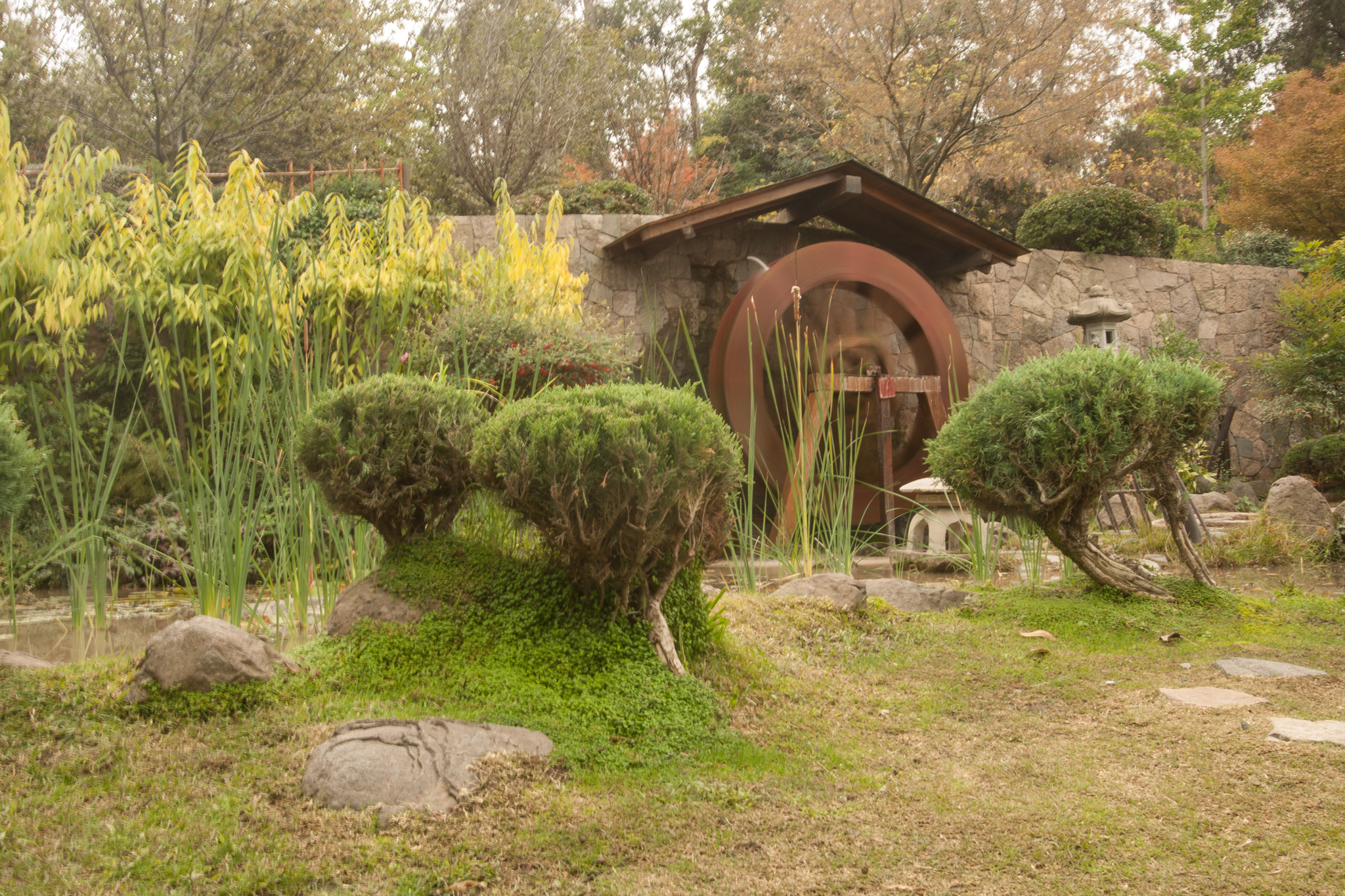 Canon EOS-1D Mark III + Canon EF 16-35mm F2.8L USM sample photo. Jardín japonés parque metropolitano photography