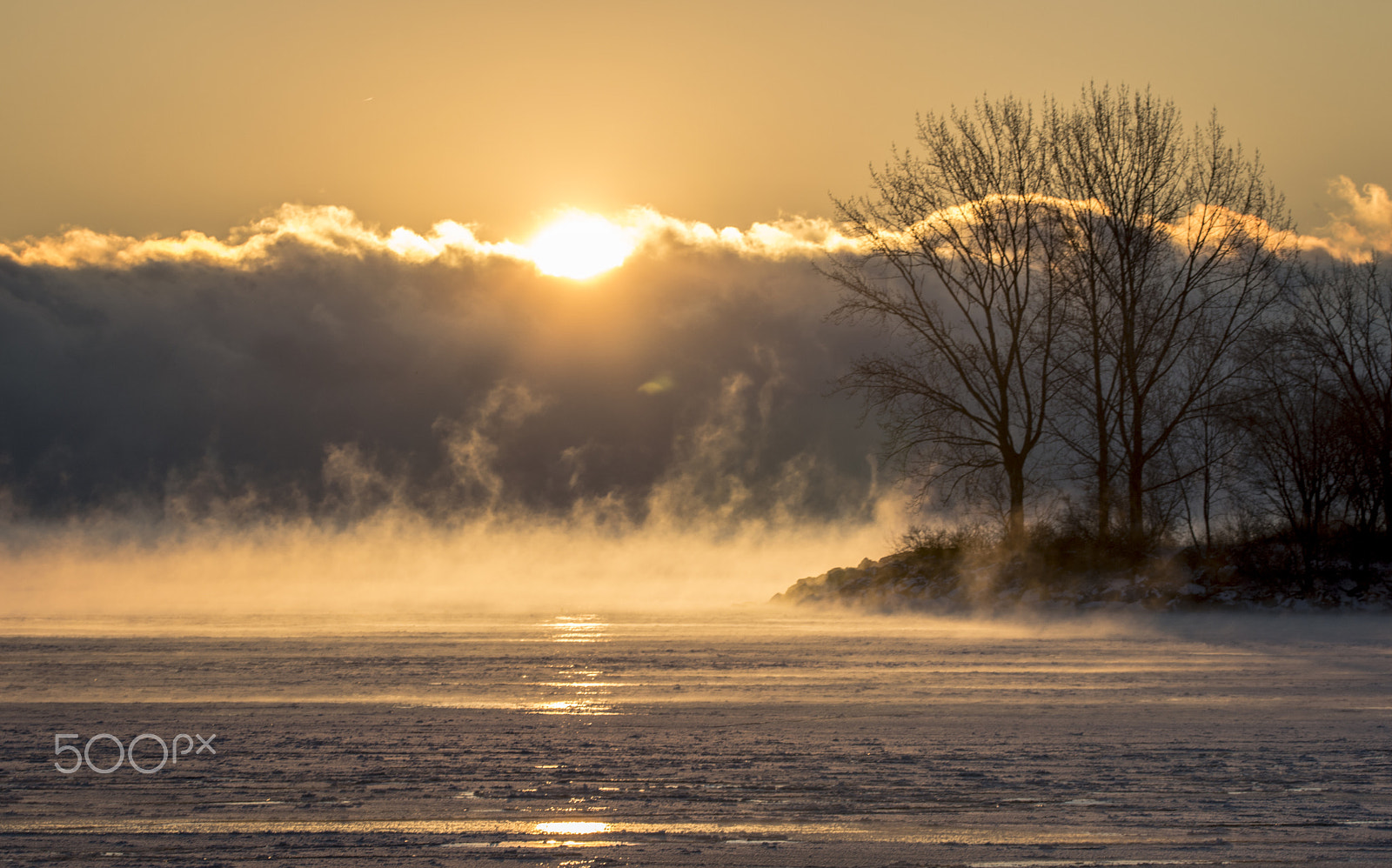 Sigma 150-600mm F5-6.3 DG OS HSM | C sample photo. Cold steam photography