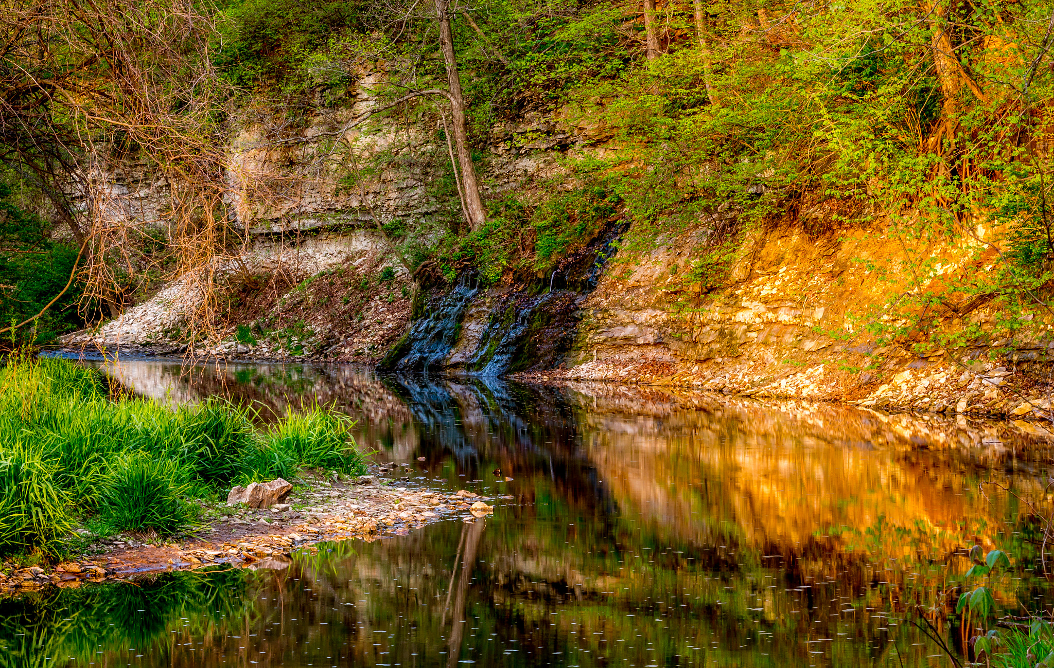 Sigma 70-200mm F2.8 EX DG OS HSM sample photo. Wildcat springs park photography