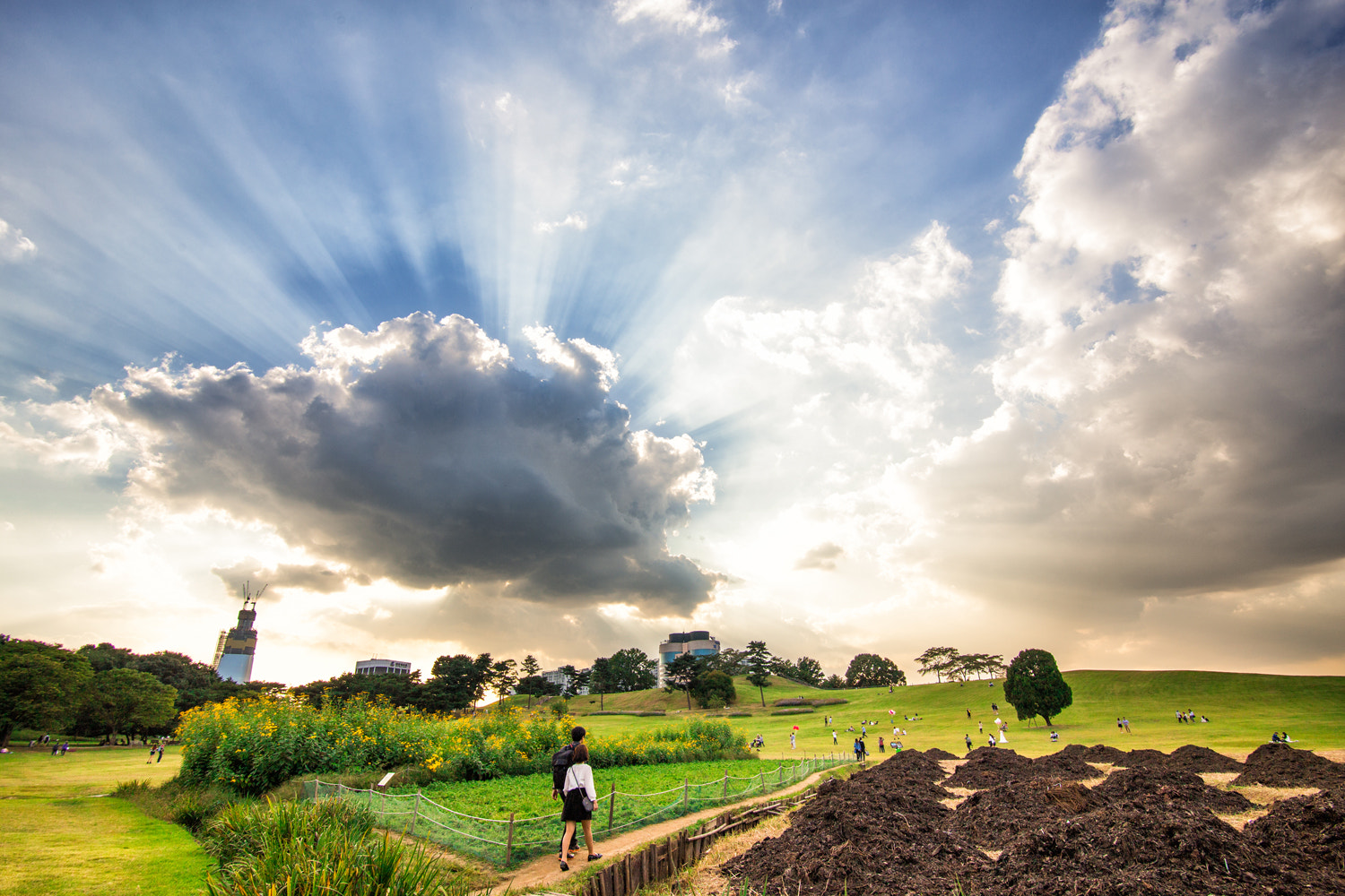 Canon EF-S 17-85mm F4-5.6 IS USM sample photo. A touching, dynamic sky photography