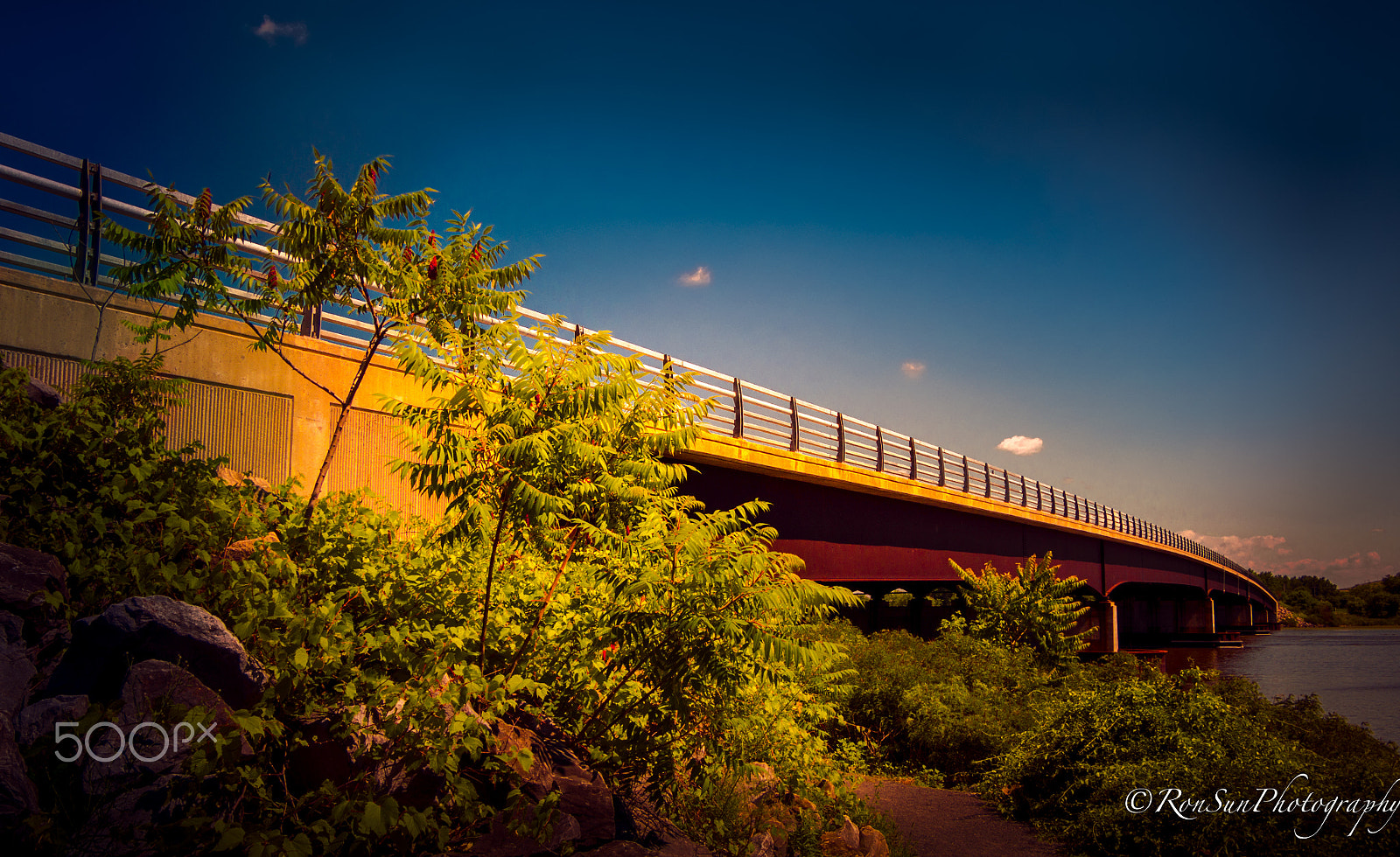 Olympus OM-D E-M5 sample photo. Bridge ** photography