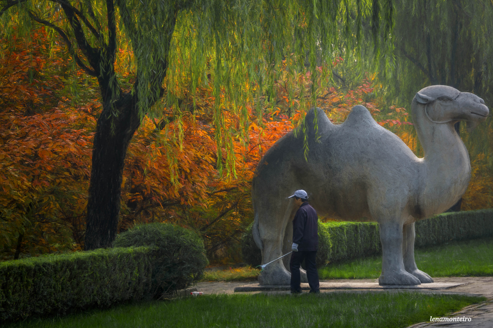 Sigma 18-250mm F3.5-6.3 DC OS HSM sample photo. Fall in china... photography