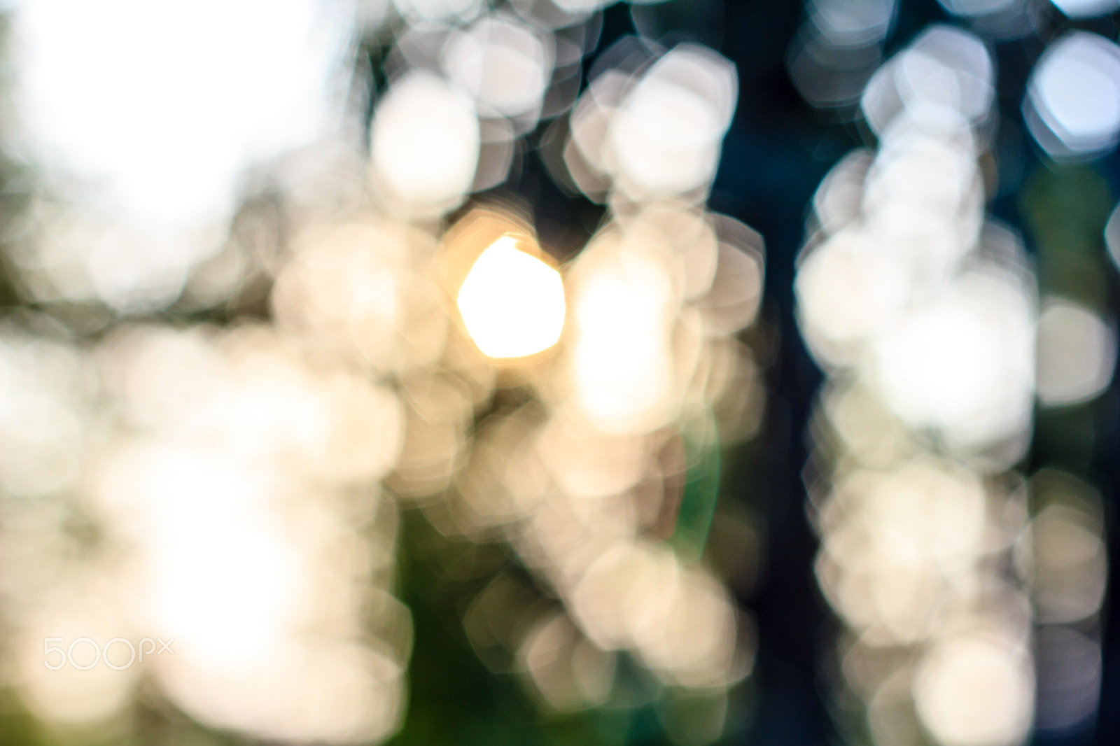 Canon EOS 550D (EOS Rebel T2i / EOS Kiss X4) sample photo. Abstract blurry bokeh background photography
