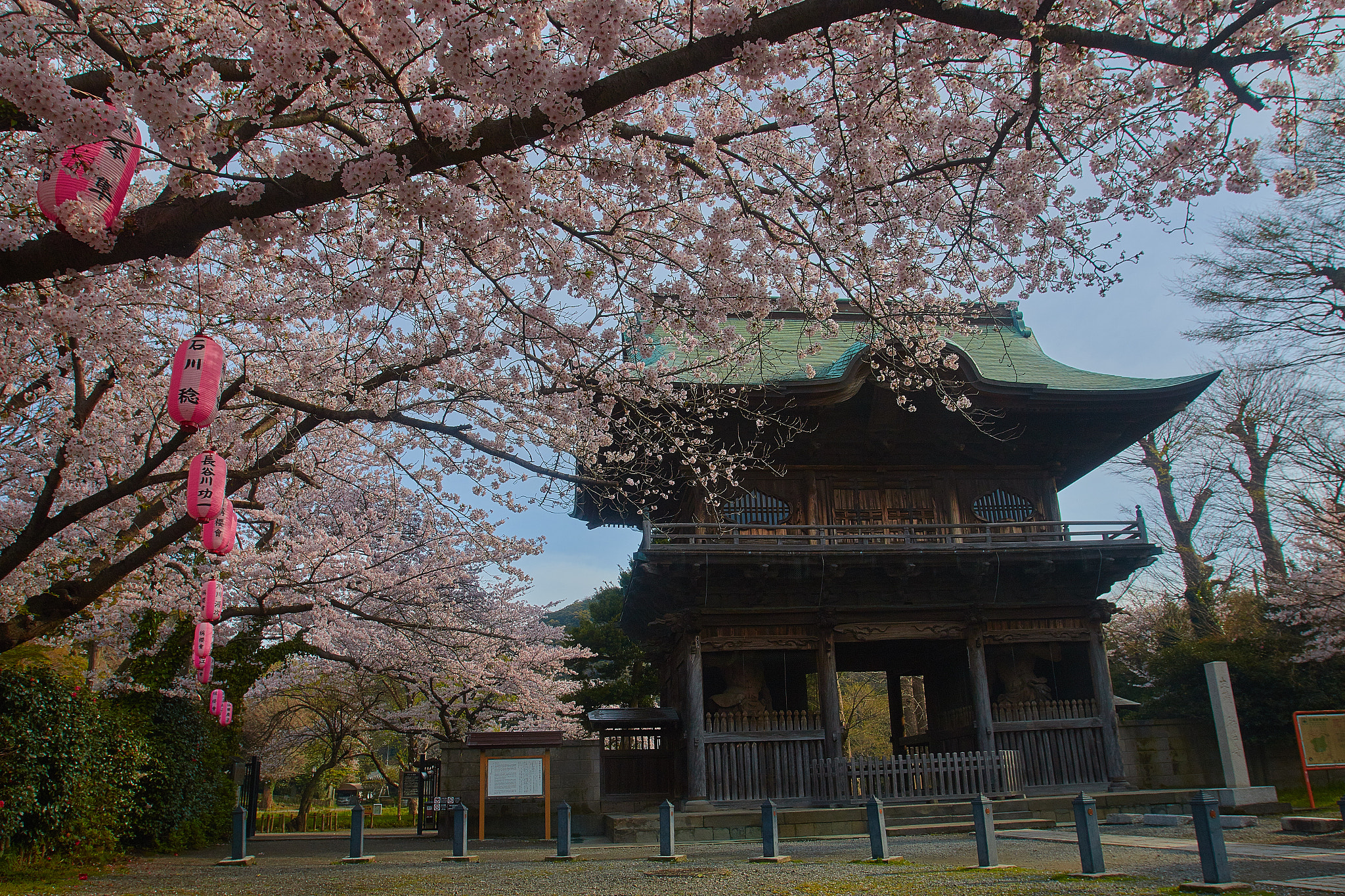 Canon EOS 70D + Canon EF 16-35mm F2.8L USM sample photo. Ancient spring photography