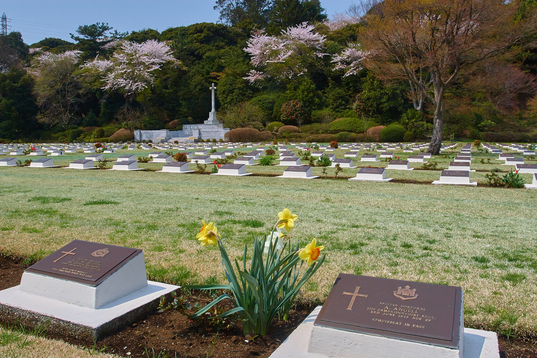 Canon EOS 30D + Canon EF 16-35mm F2.8L USM sample photo. Cemetery of british commonwealth photography