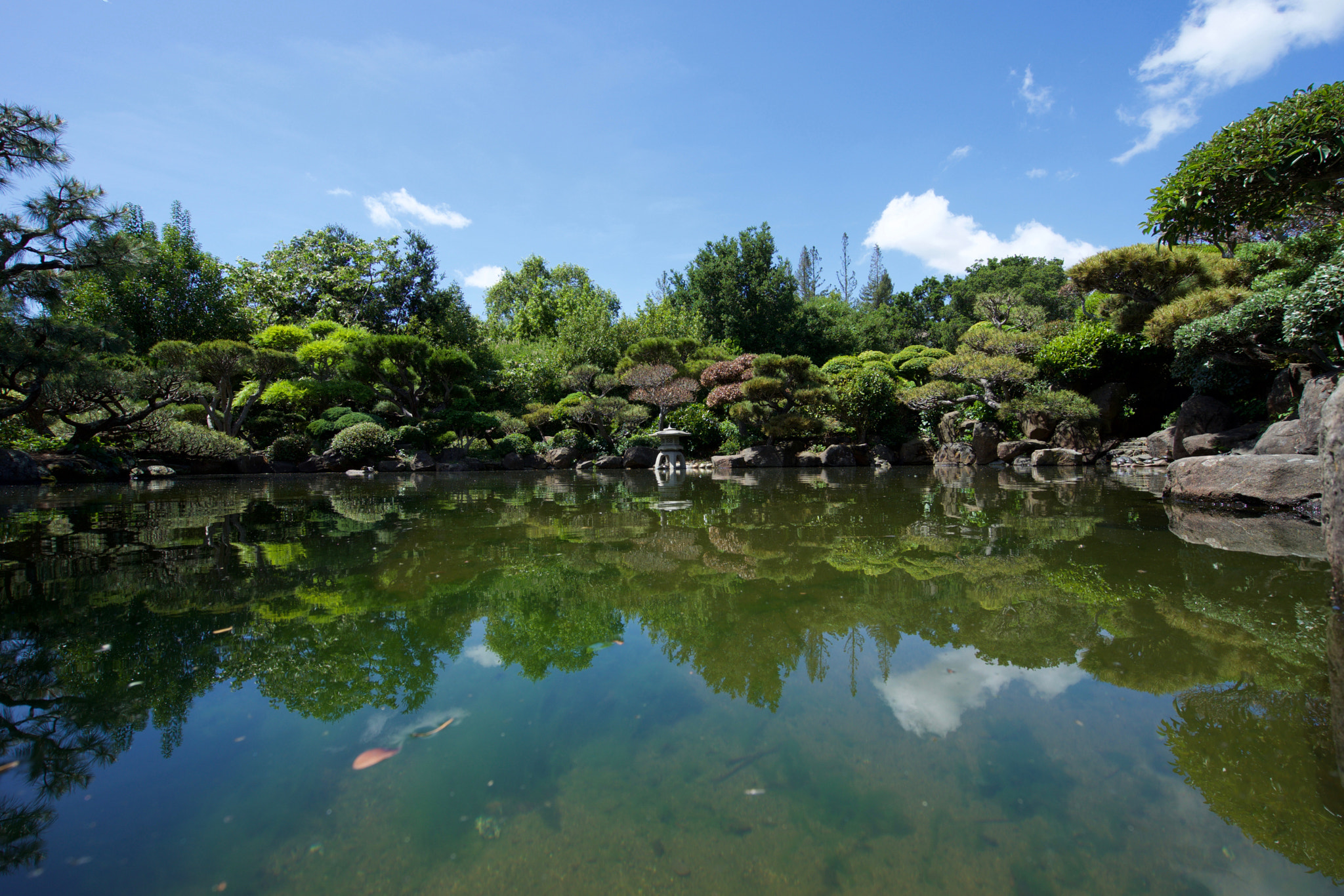Sony a7 + Sony Vario-Tessar T* FE 16-35mm F4 ZA OSS sample photo. Hayward japanese garden photography