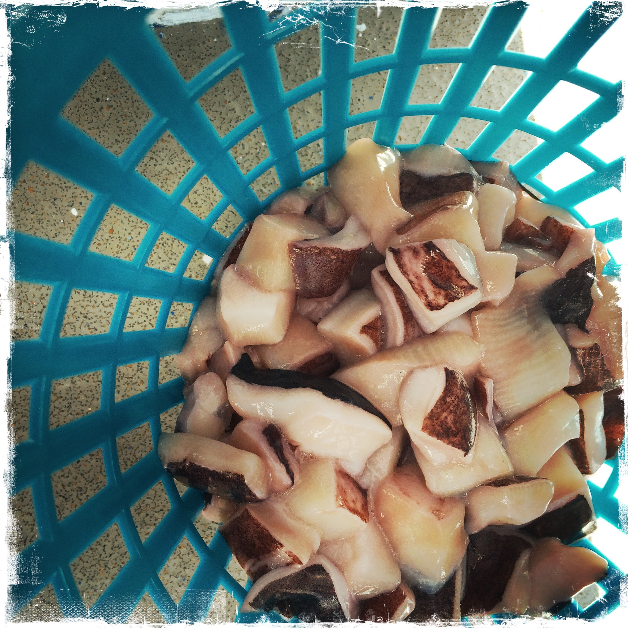 Hipstamatic 311 sample photo. Fishing off the coast near tampa photography