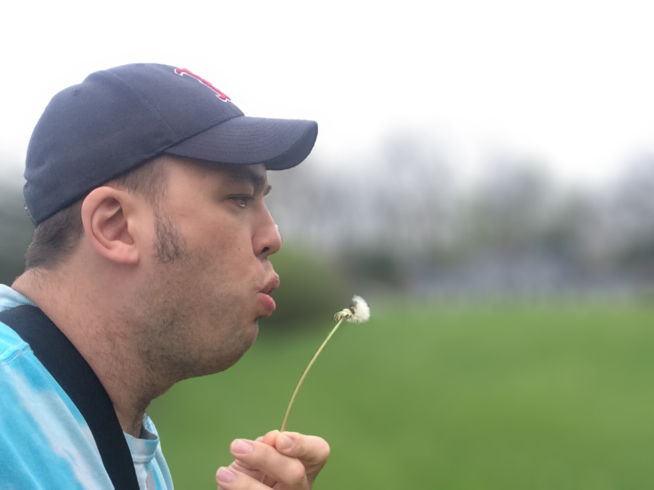 iPhone 5s front camera 2.15mm f/2.4 sample photo. Blowing dandelion seeds. photography