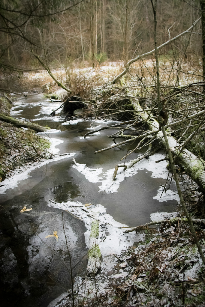 Canon EOS 40D + Sigma 20mm EX f/1.8 sample photo. Ice, black and white ii photography