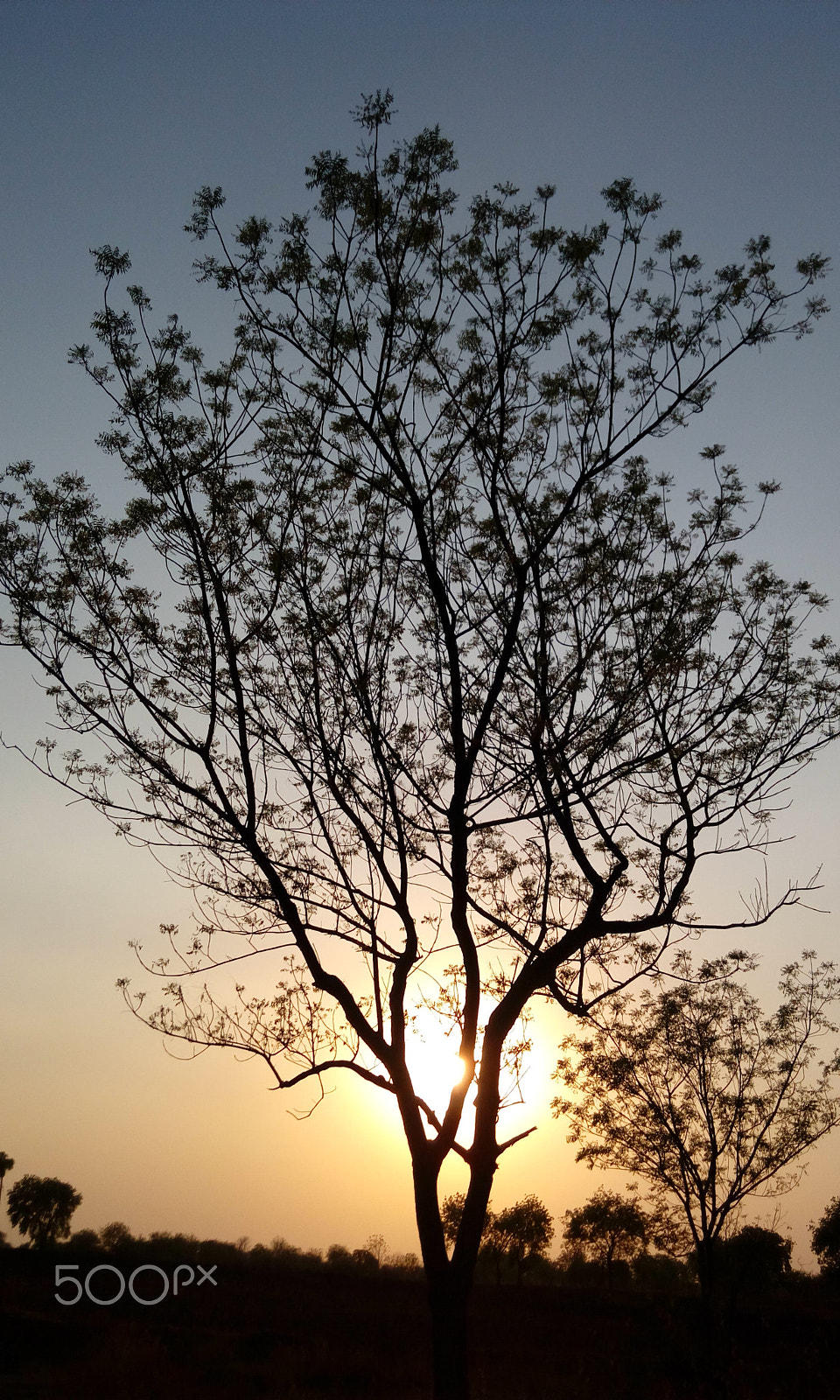 HTC DESIRE 820G PLUS DUAL SIM sample photo. Img_20160411_180037.jpg photography