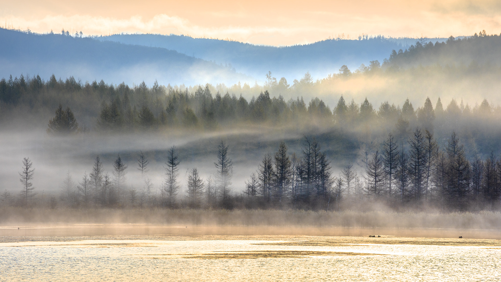 Canon EF 70-300mm F4-5.6L IS USM sample photo. Misty morning photography