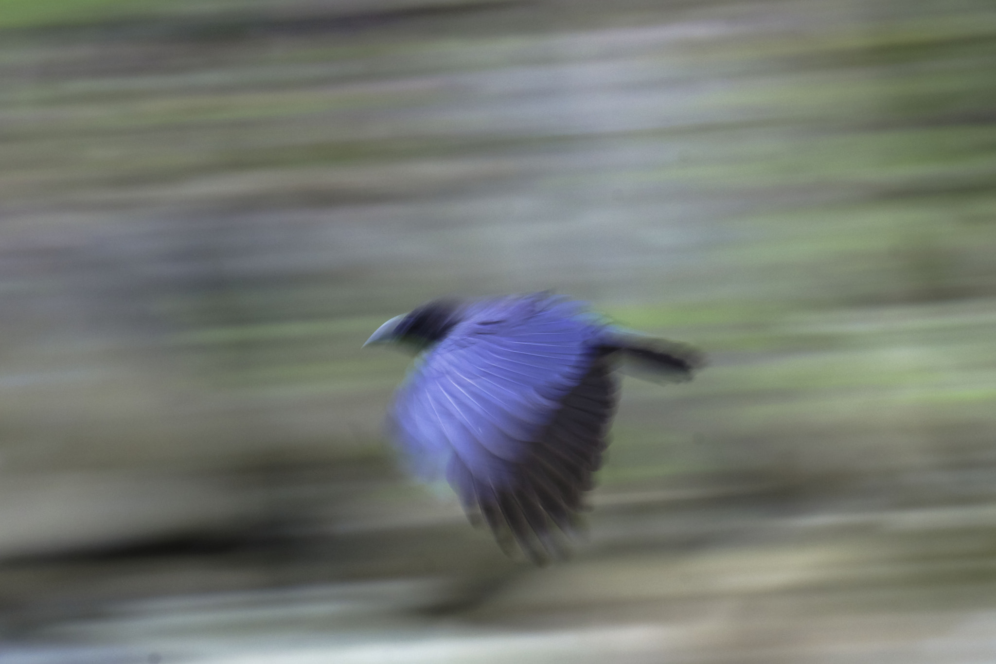 Sony DT 55-300mm F4.5-5.6 SAM sample photo