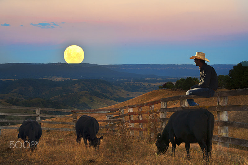 Nikon D3 sample photo. Looking moon rise photography